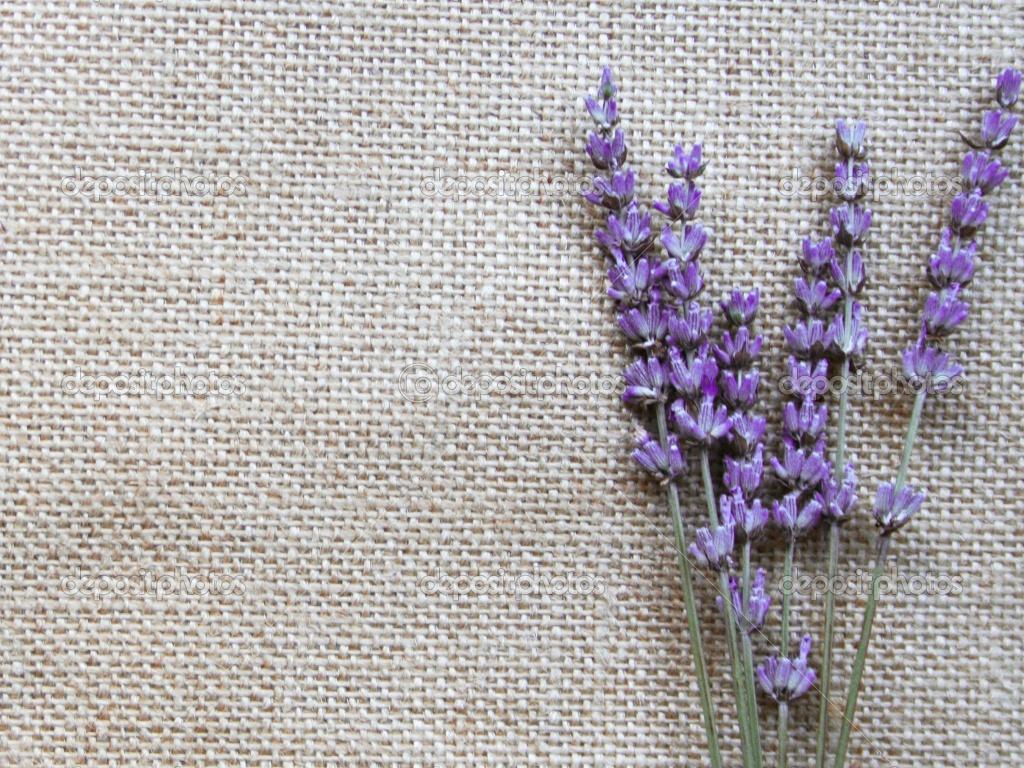 1024x768 Lavender Wallpaper 28 X 928