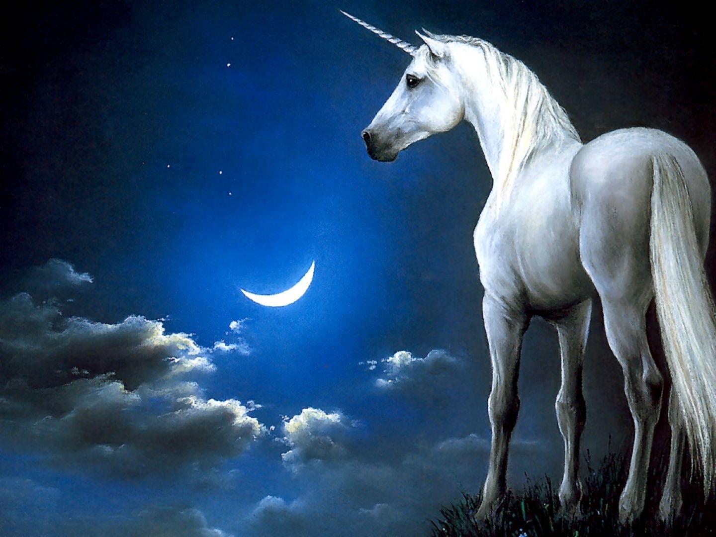 Animated Unicorn Wallpapers  Top Free Animated Unicorn Backgrounds   WallpaperAccess