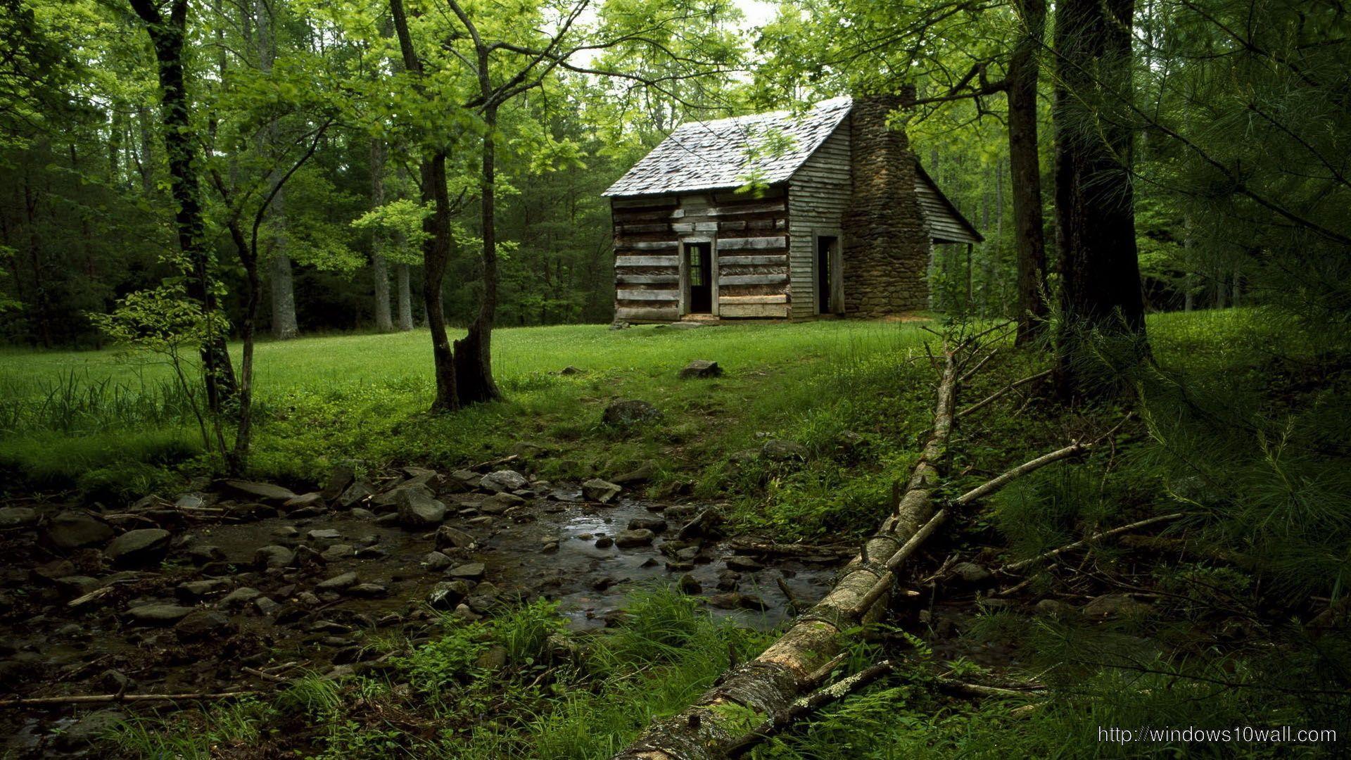 1920x1080 House in Forest House Desktop Background Wallpaper
