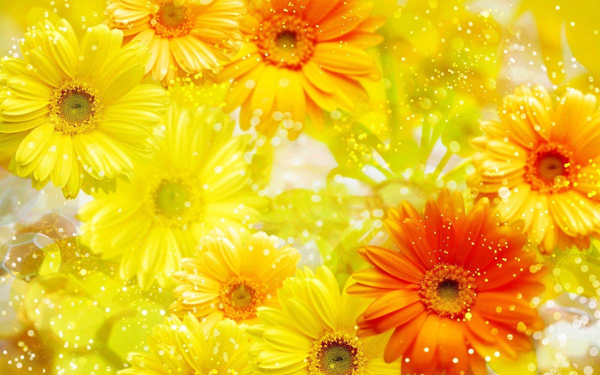 1920x1200 Yellow Flower Wallpaper
