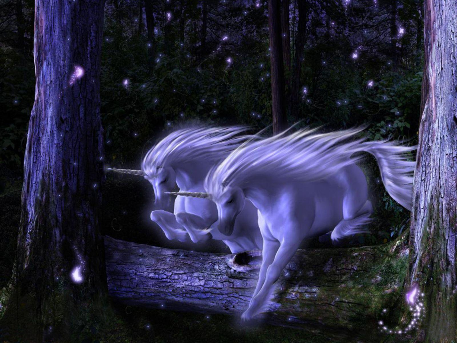 Animated Unicorn  Wallpapers  Top Free Animated Unicorn  