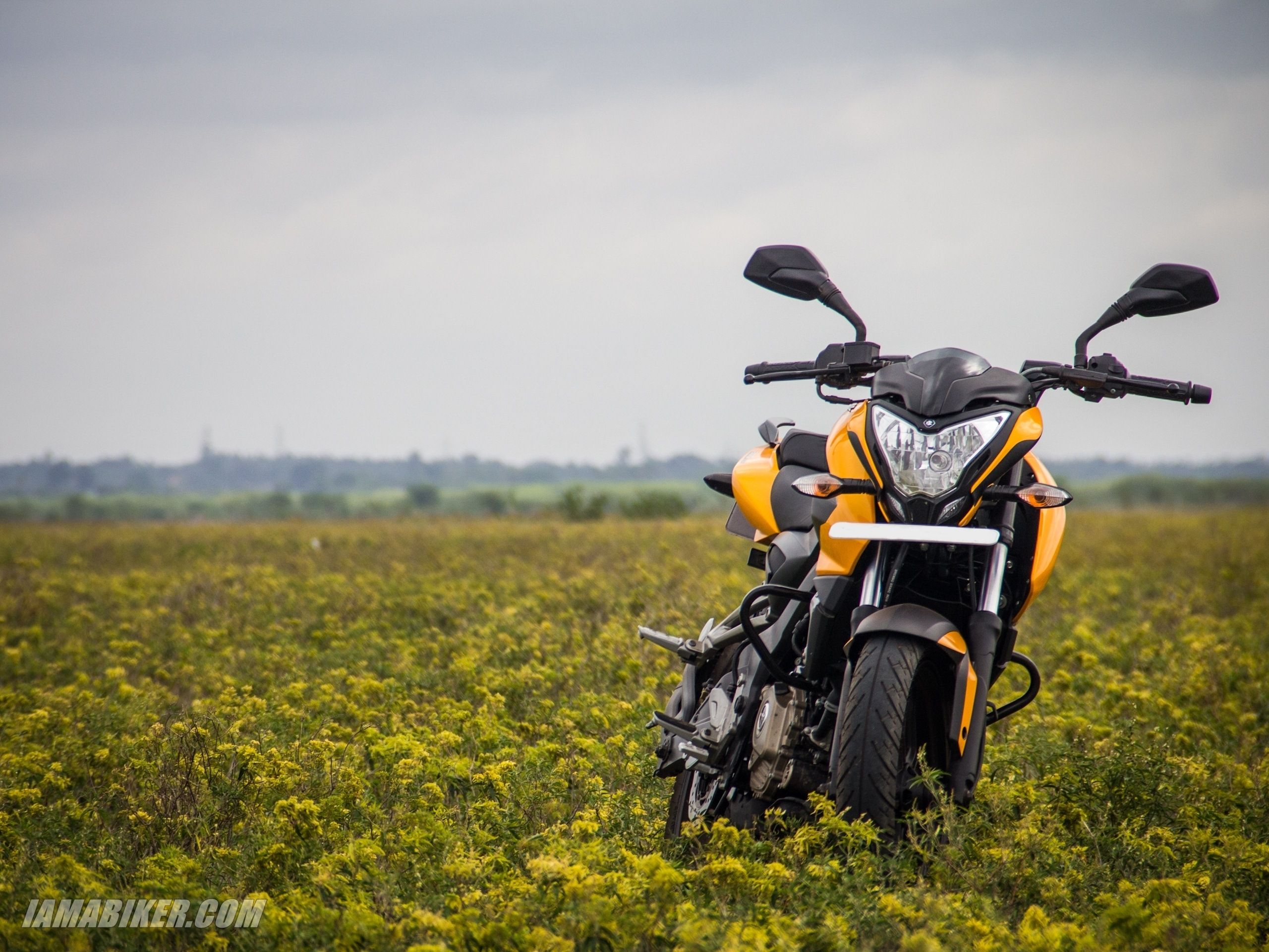 2560x1920 Bajaj Pulsar NS200 Wallpaper
