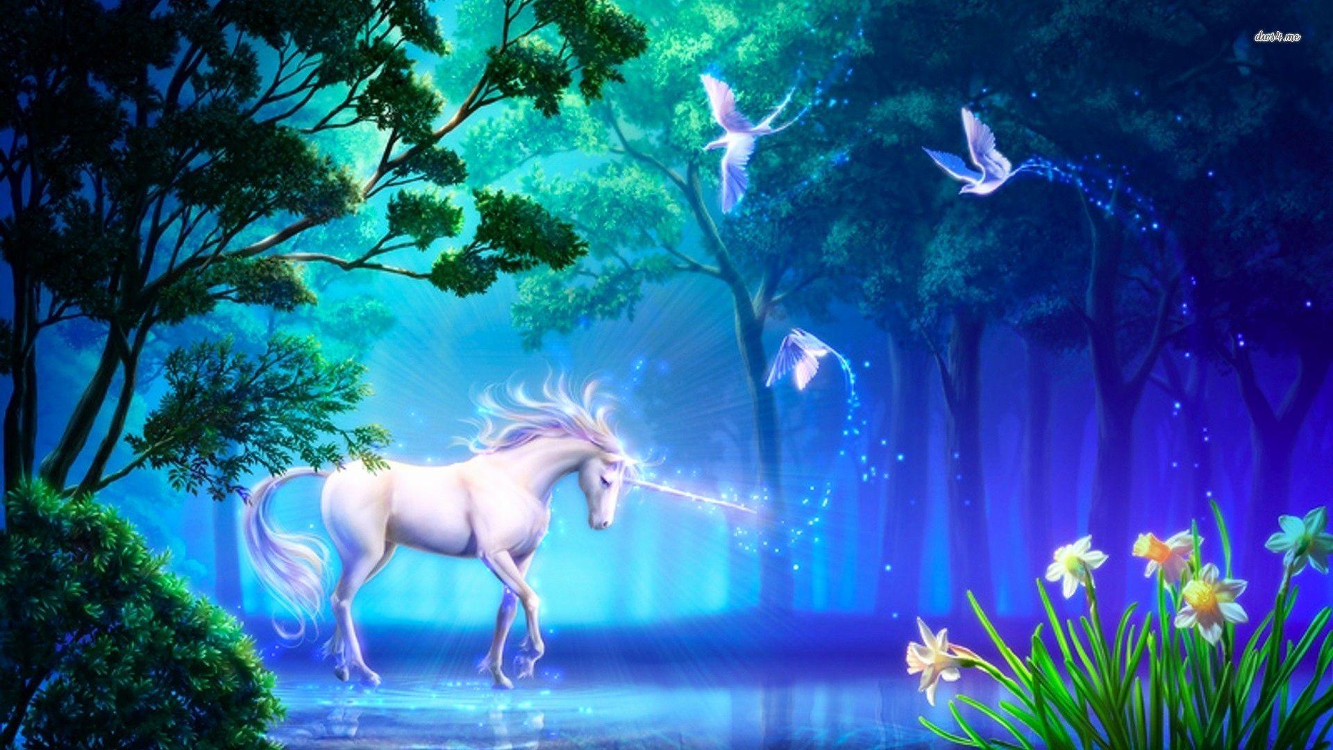 Animated Unicorn  Wallpapers  Top Free Animated Unicorn  