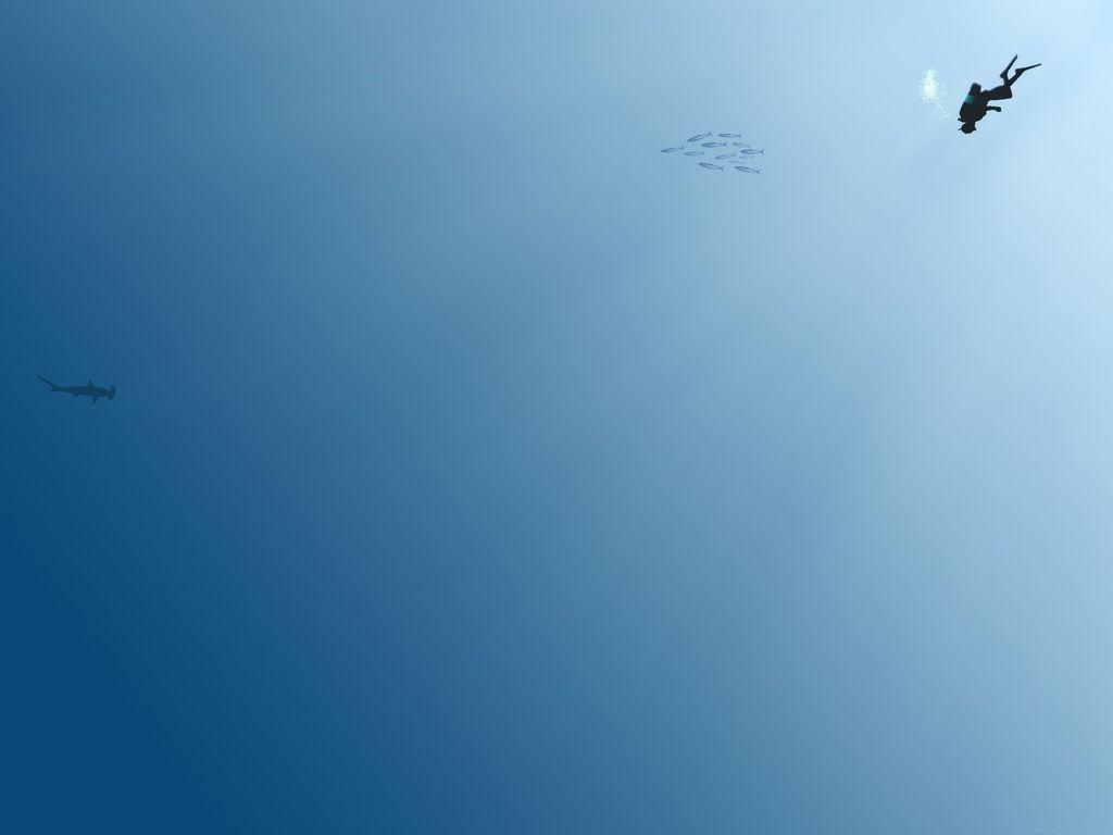 1024x768 Hình nền tối giản tuyệt vời https://wallpaperaccess.com/full/141458.jpg