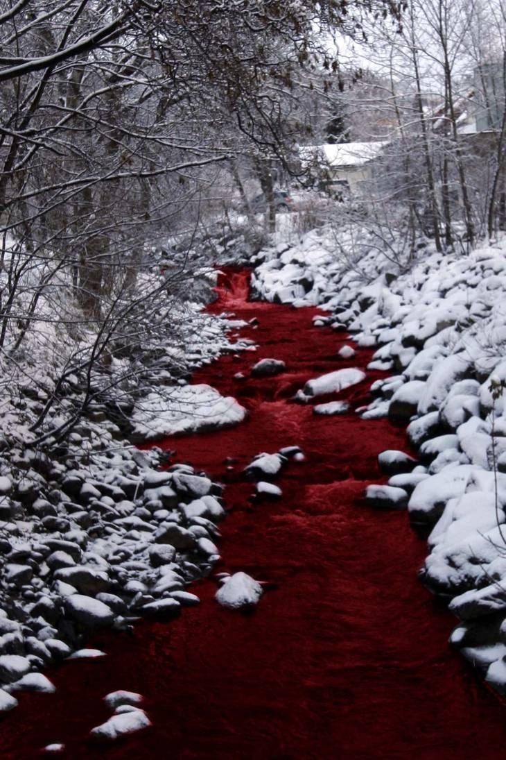 730x1095 Red snow river