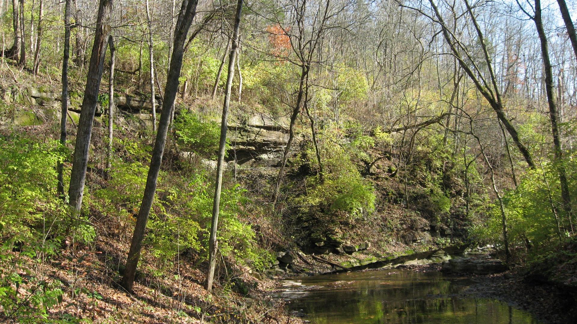1920x1080 Biodiverse Regions: Blood River. PBS