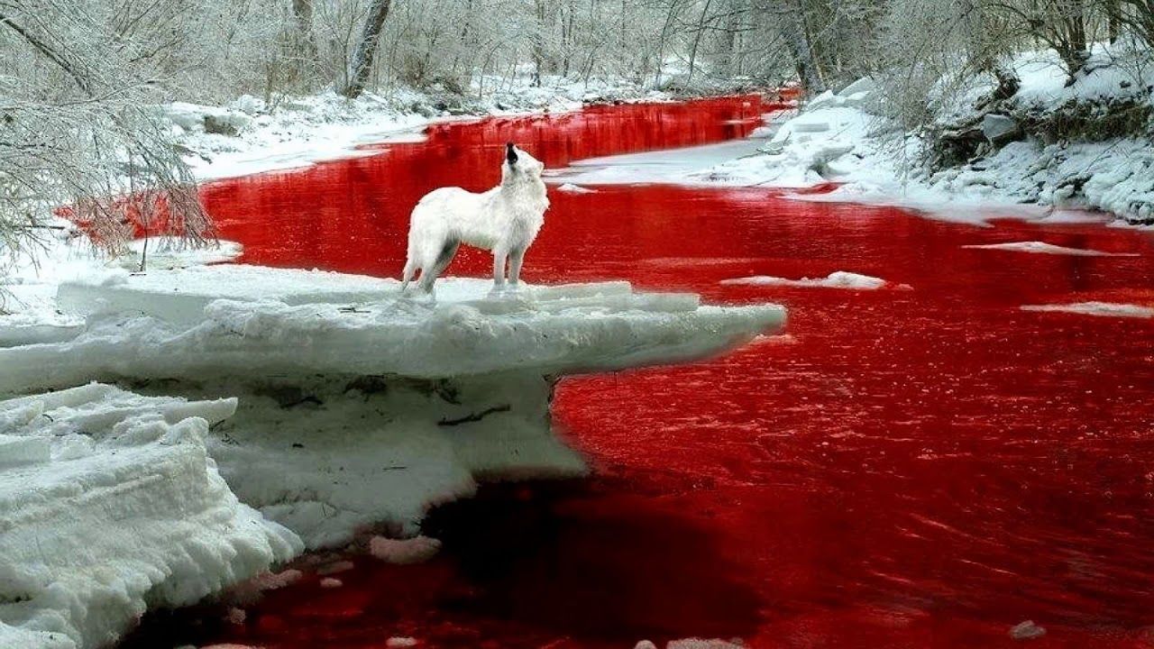 1280x720 The Alchemical Theory River