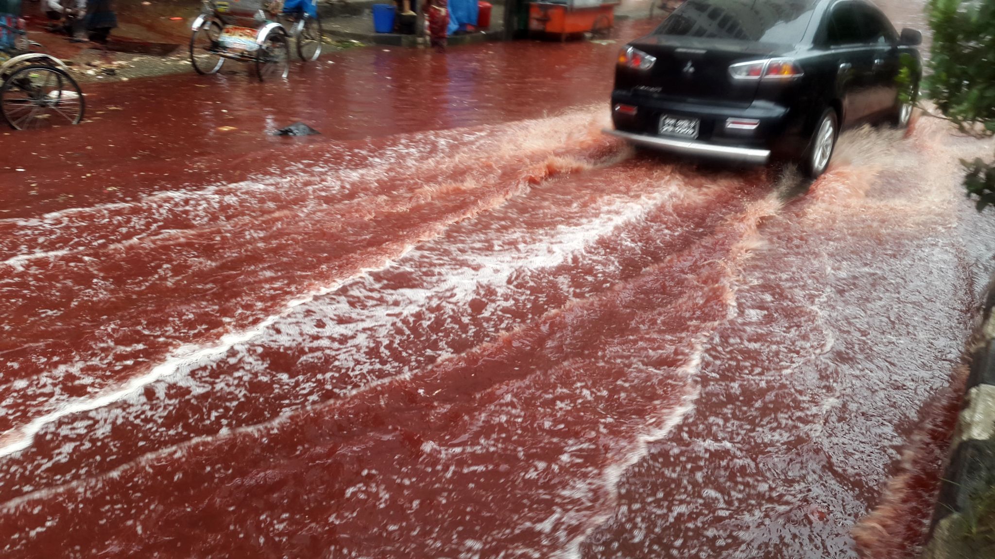 2048x1152 Bangladesh: Rivers of blood run through