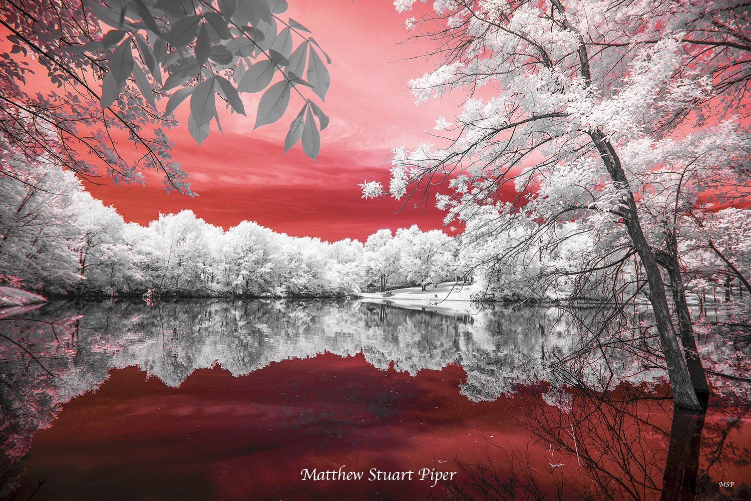 1500x1000 Matthew Stuart Piper Fine Art Infrared