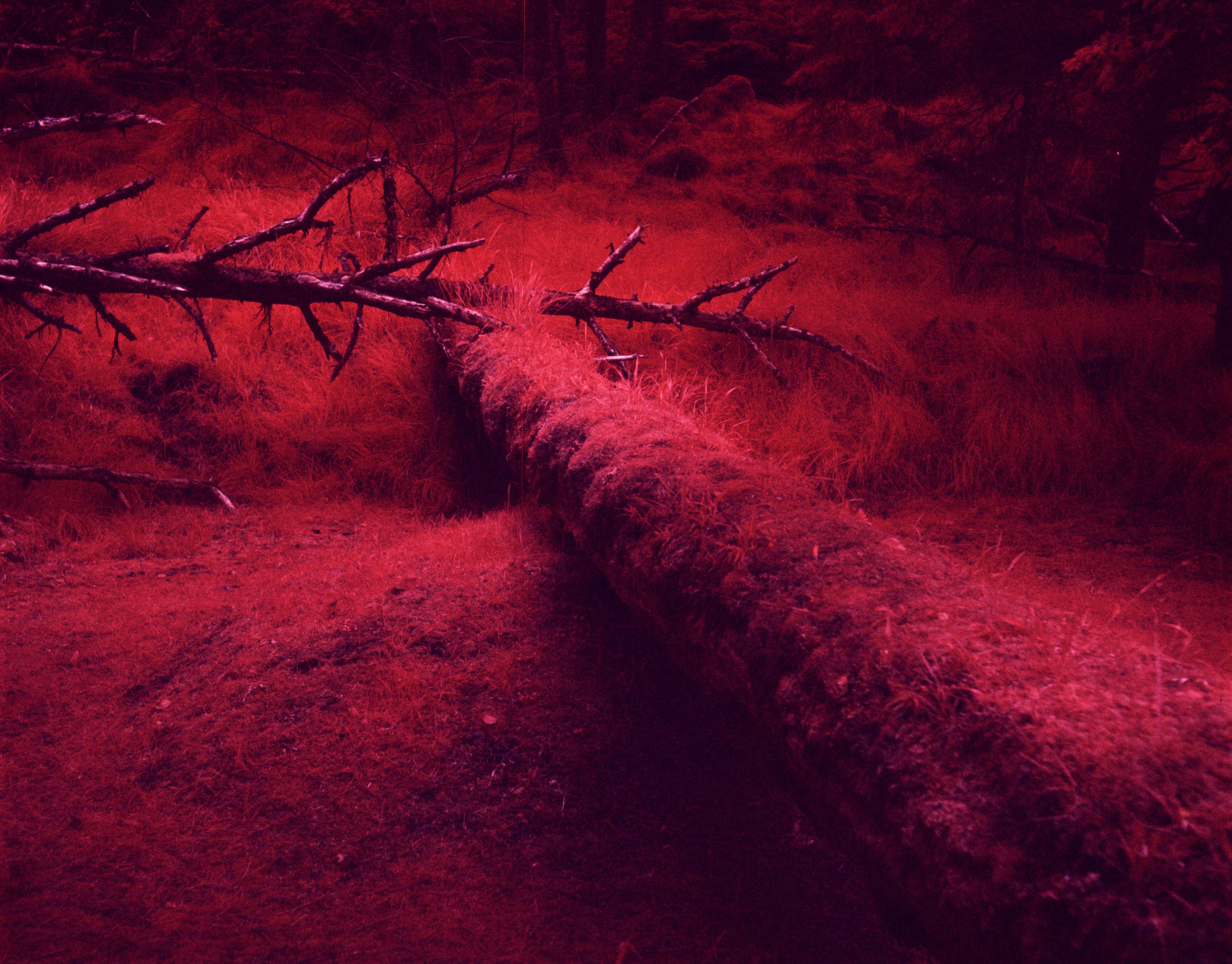 6714x5251 Remy Olivier Photography