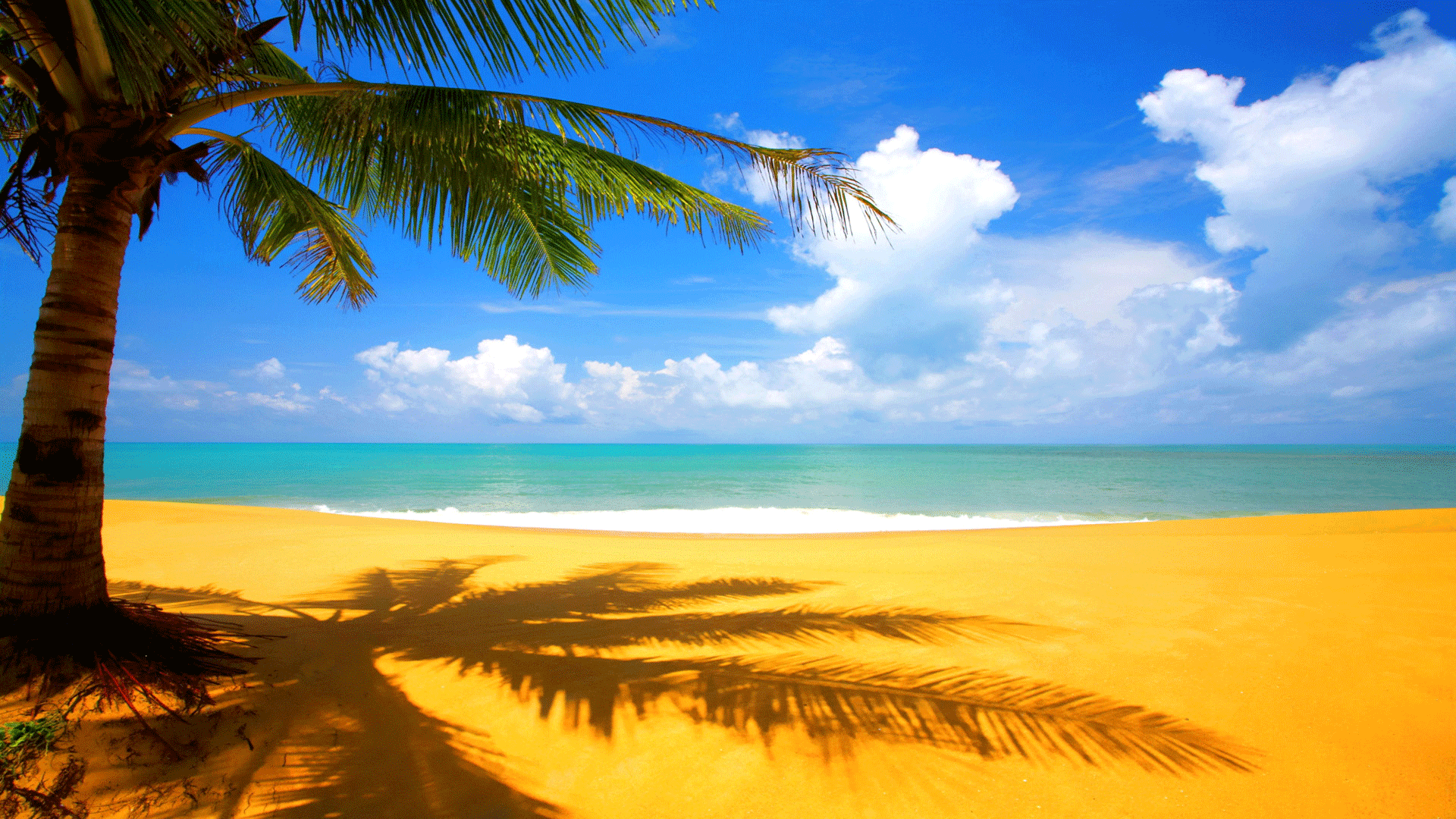1920x1080 Desktop Wallpaper High Resolution. Nature Wallpaper