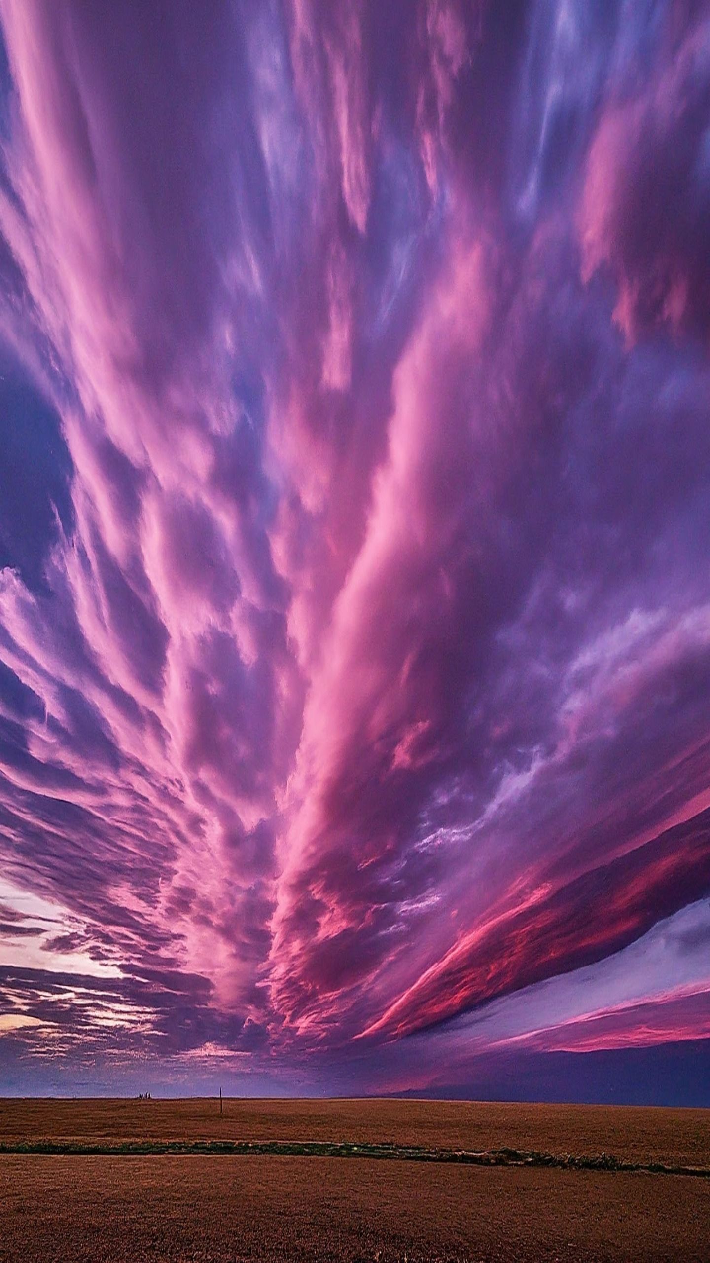 1440x2560 Wallpaper trend tiktok samsung a55 pink