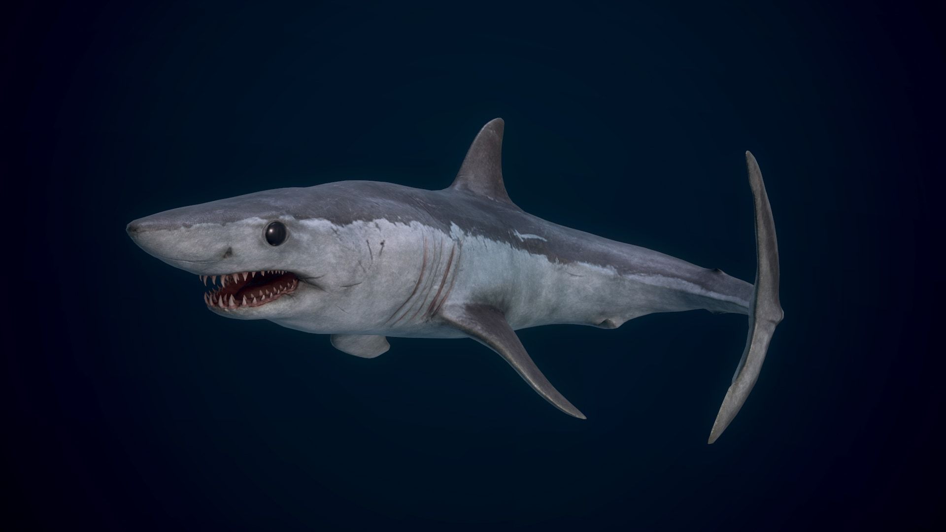 1920x1080 Mako Shark in Characters