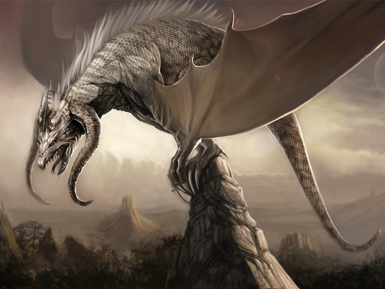 1600x1200 big dragonsD Dragon Wallpaper, Big Chinese Dragon 3D