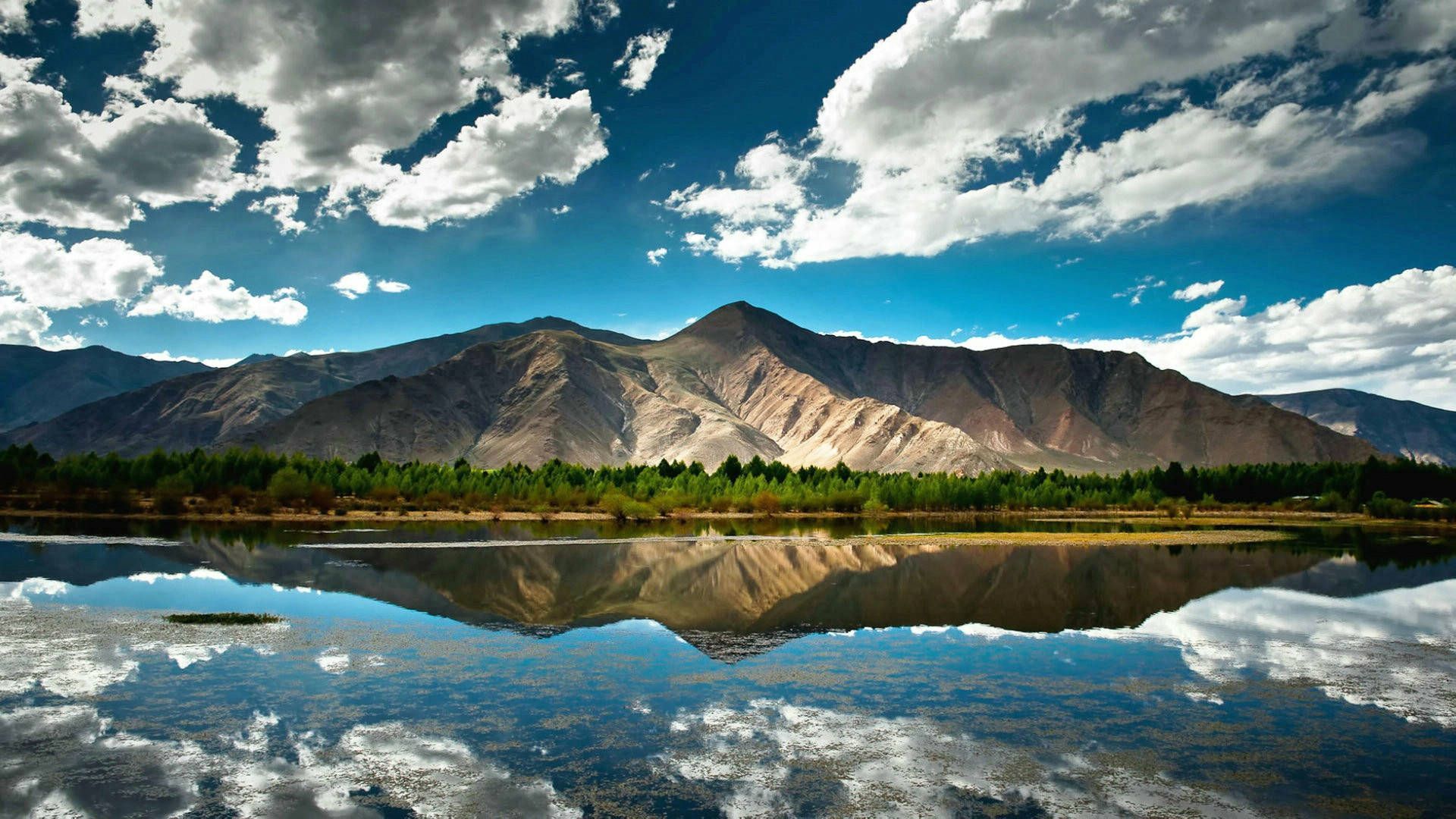 1920x1080 8k Ultra HD Nature Wallpaper