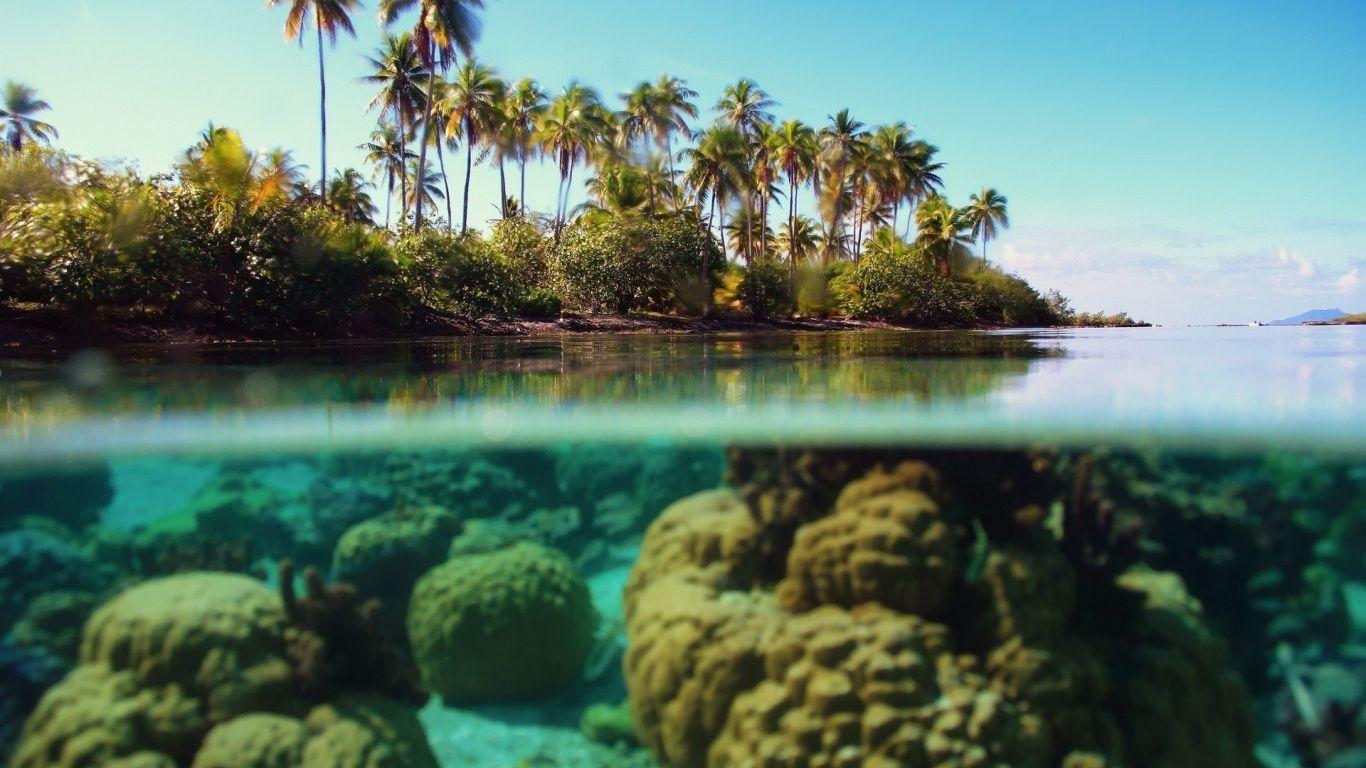1366x768 Bora Bora beach. Nature. Nature wallpaper, Landscape