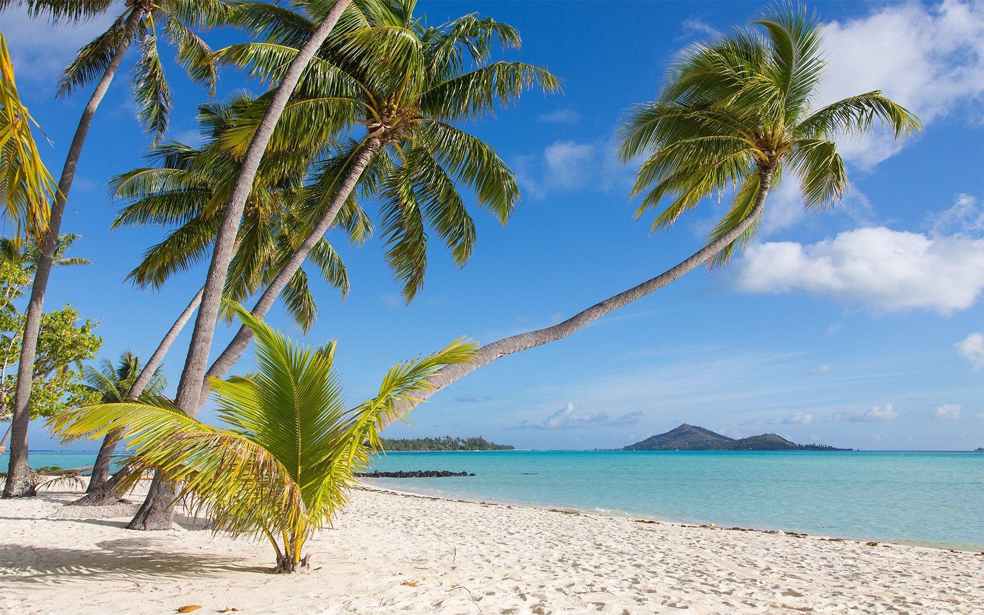 1920x1201 bora bora beach nature wallpaper and background