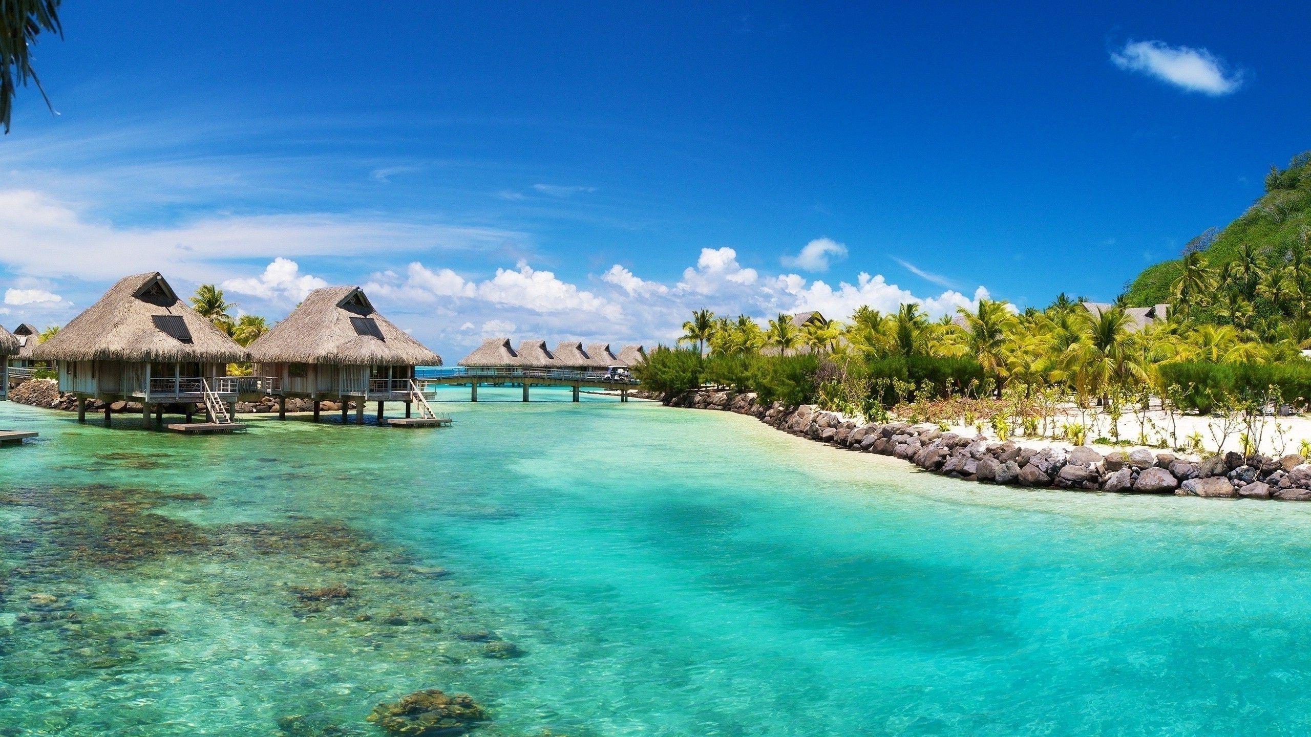 2560x1440 nature sea bora bora wallpaper and background