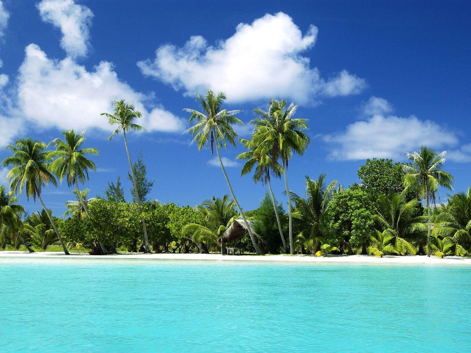 1600x1200 free tropical paradise wallpaper