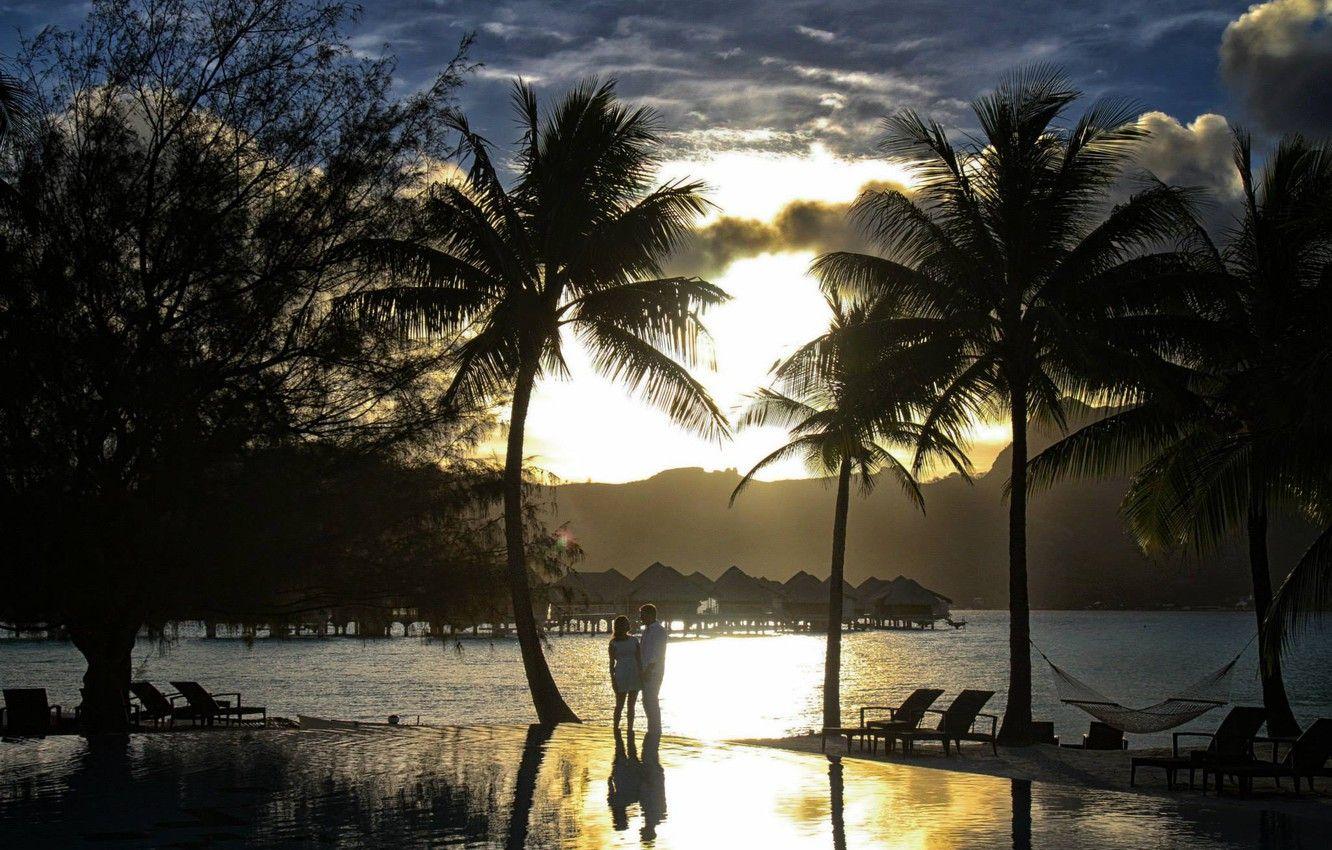 1332x850 Wallpaper Palm Trees, The Ocean, The Evening, Two, Bora Bora