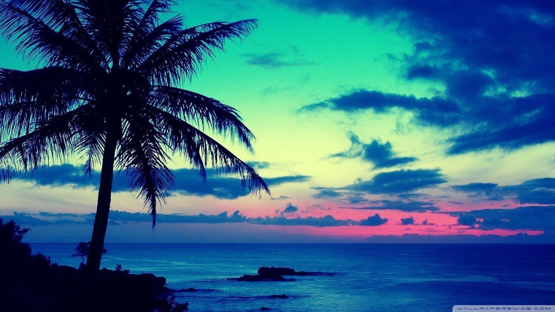 1920x1080 Tropical Island Background