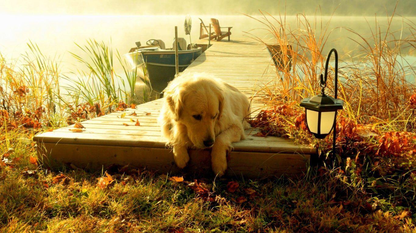 1366x768 Country Scenery Wallpaper, 253.31 Kb