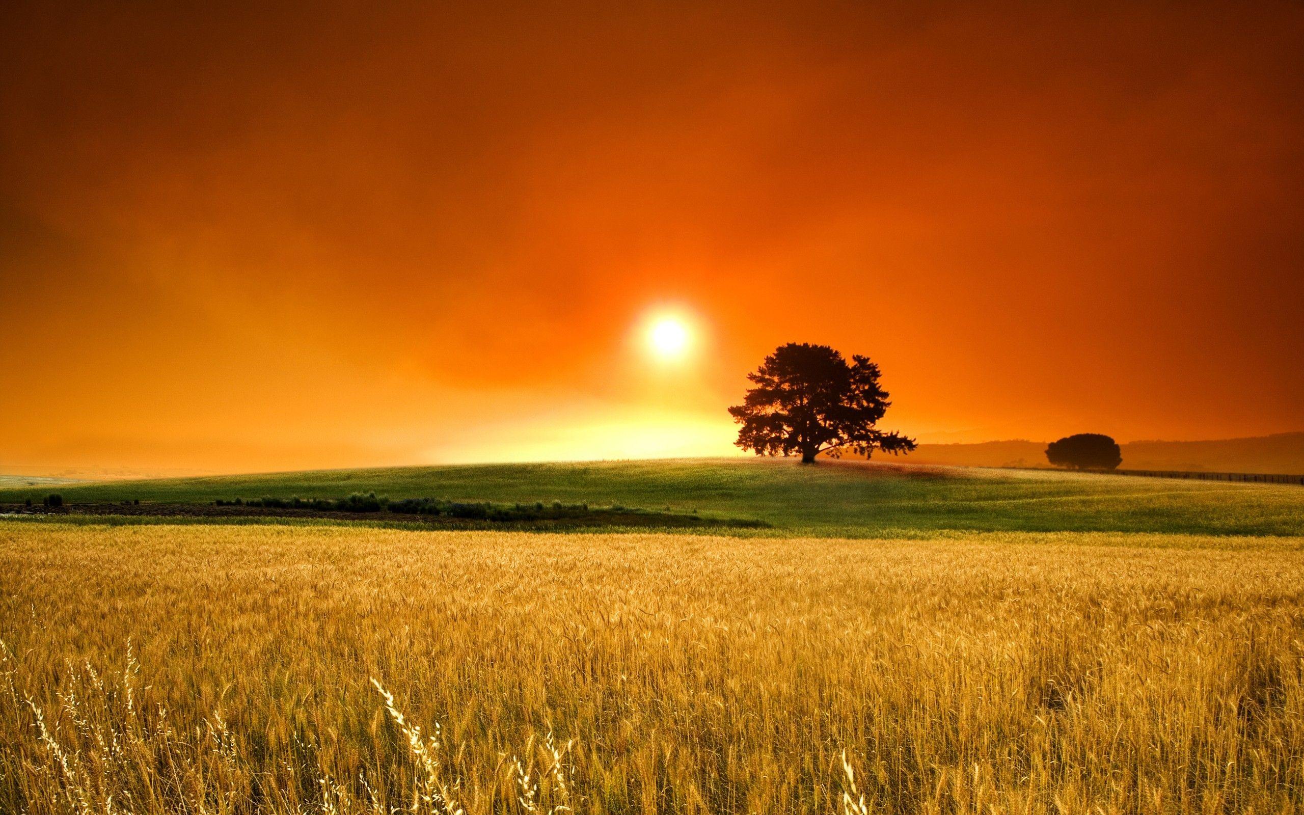 2560x1600 Scenery Country View Wallpaper Download HD. Sunset
