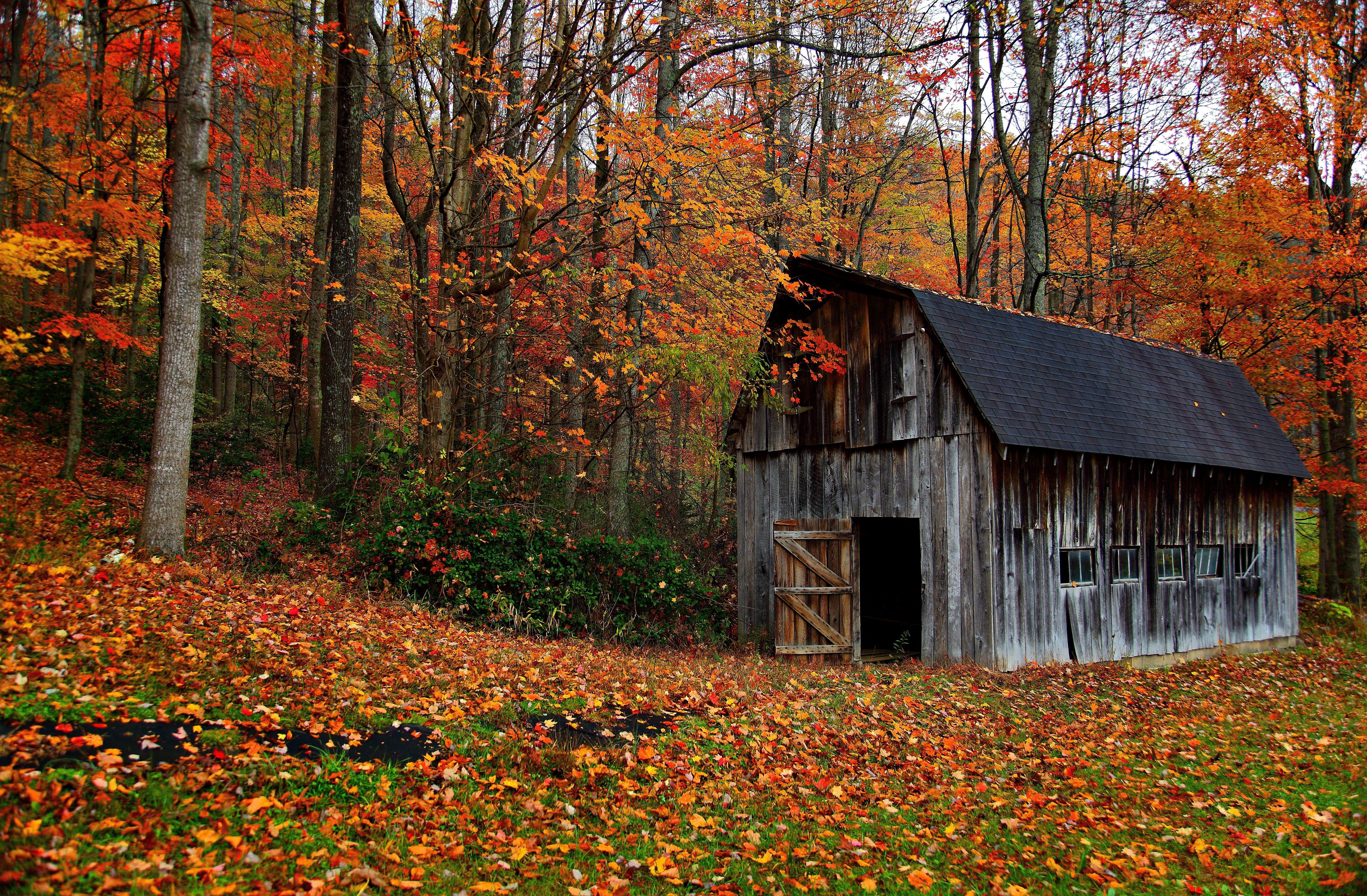 5522x3622 Fall Country Scenes Wallpaper