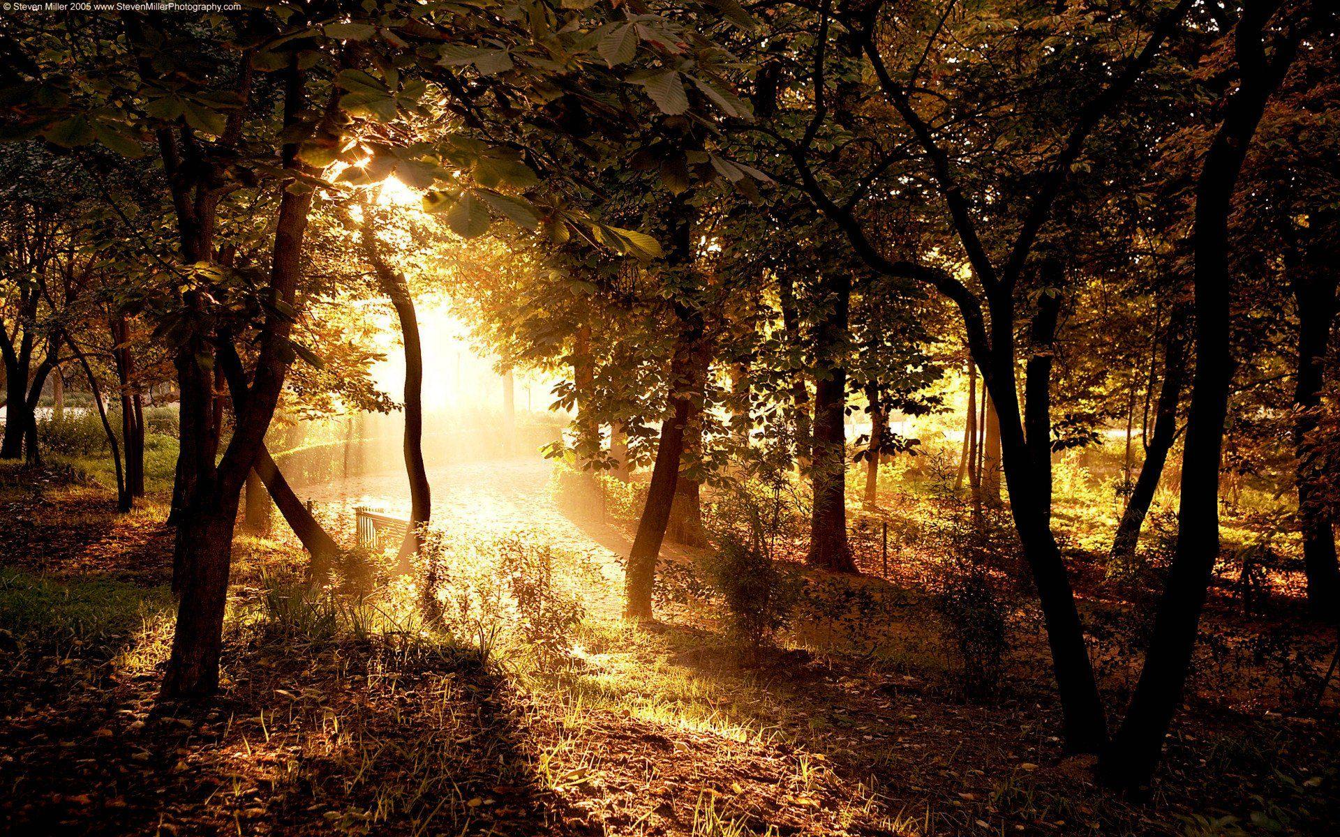 1920x1200 Wide HD, 2018. Country Scenery Wallpaper