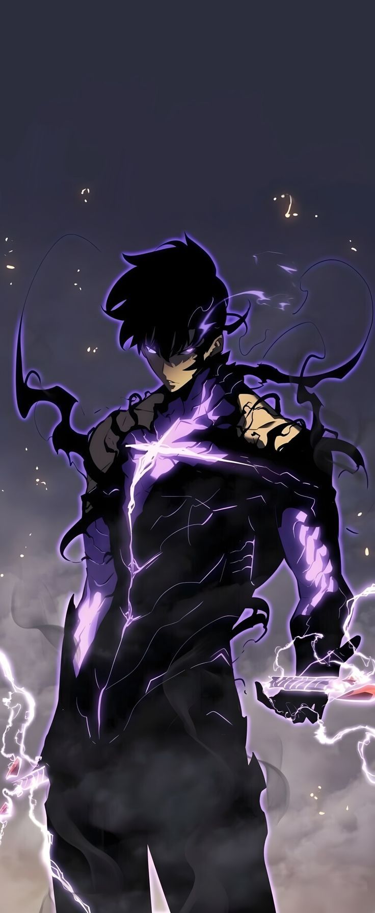 736x1791 Wallpaper • Solo Leveling