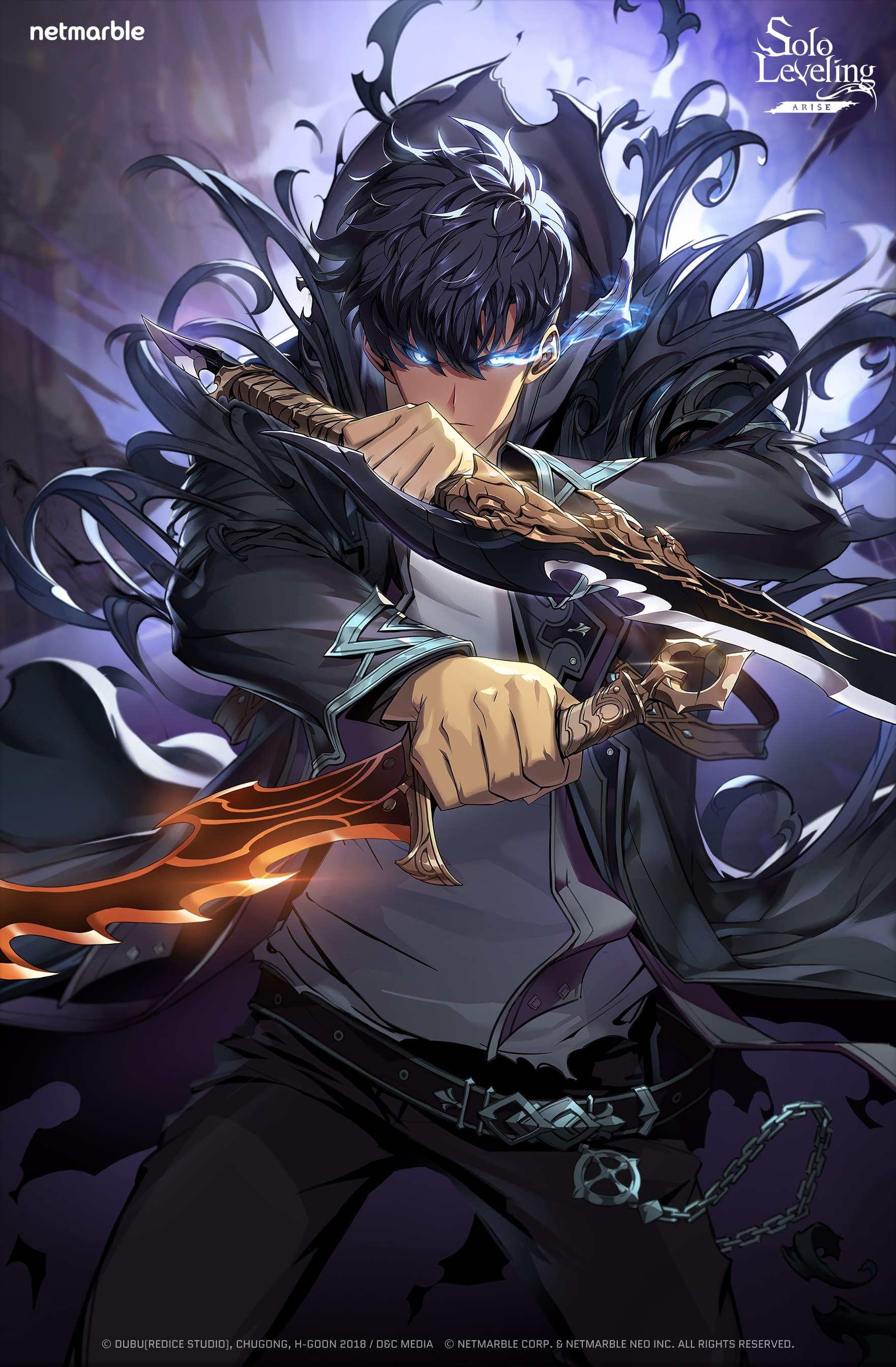 1762x2688 Solo Leveling:ARISE