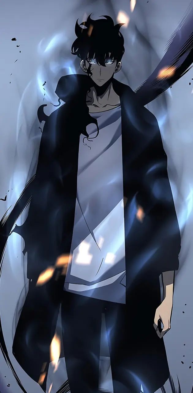 630x1279 Solo leveling wallpaper