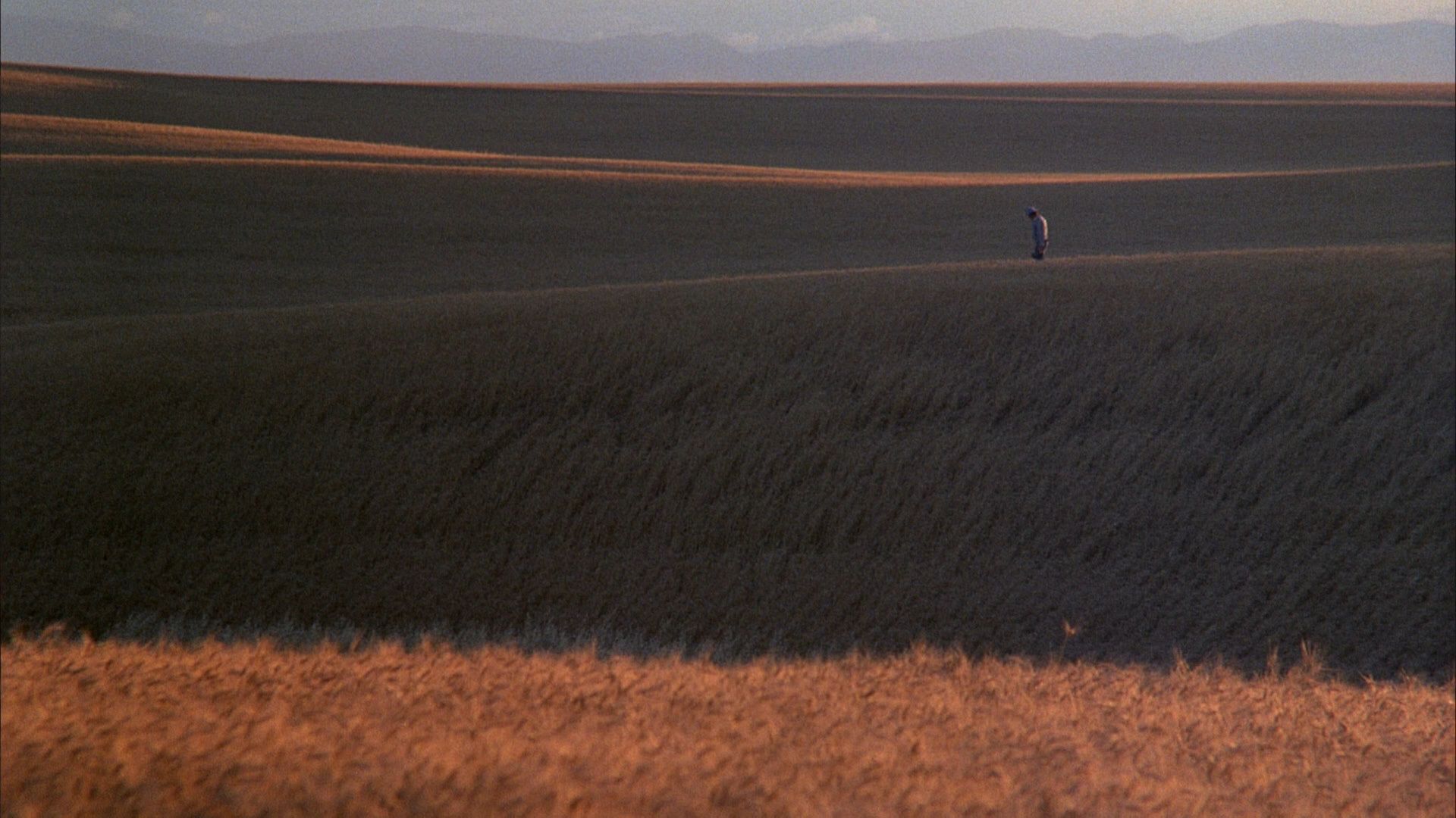 1920x1080 Download Movie Days Of Heaven HD Wallpaper