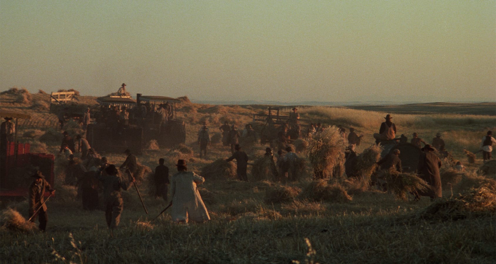 1688x900 Days of Heaven (1978). The Criterion