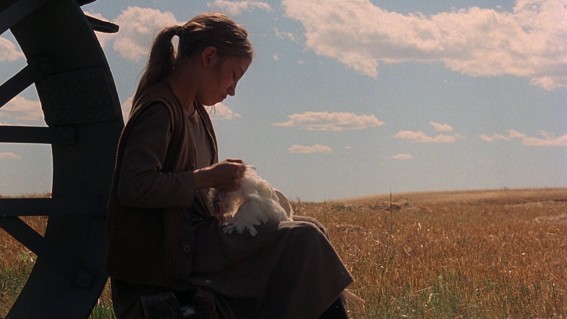 1920x1080 Days of Heaven : Jacob Burns Film Center