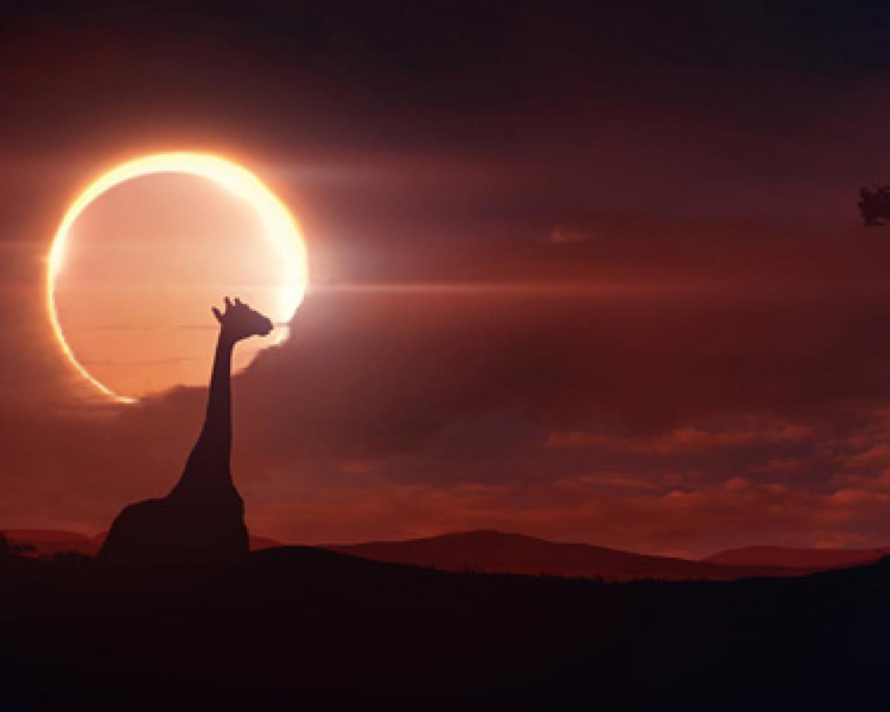 1280x1024 Solar Eclipse Wallpaper