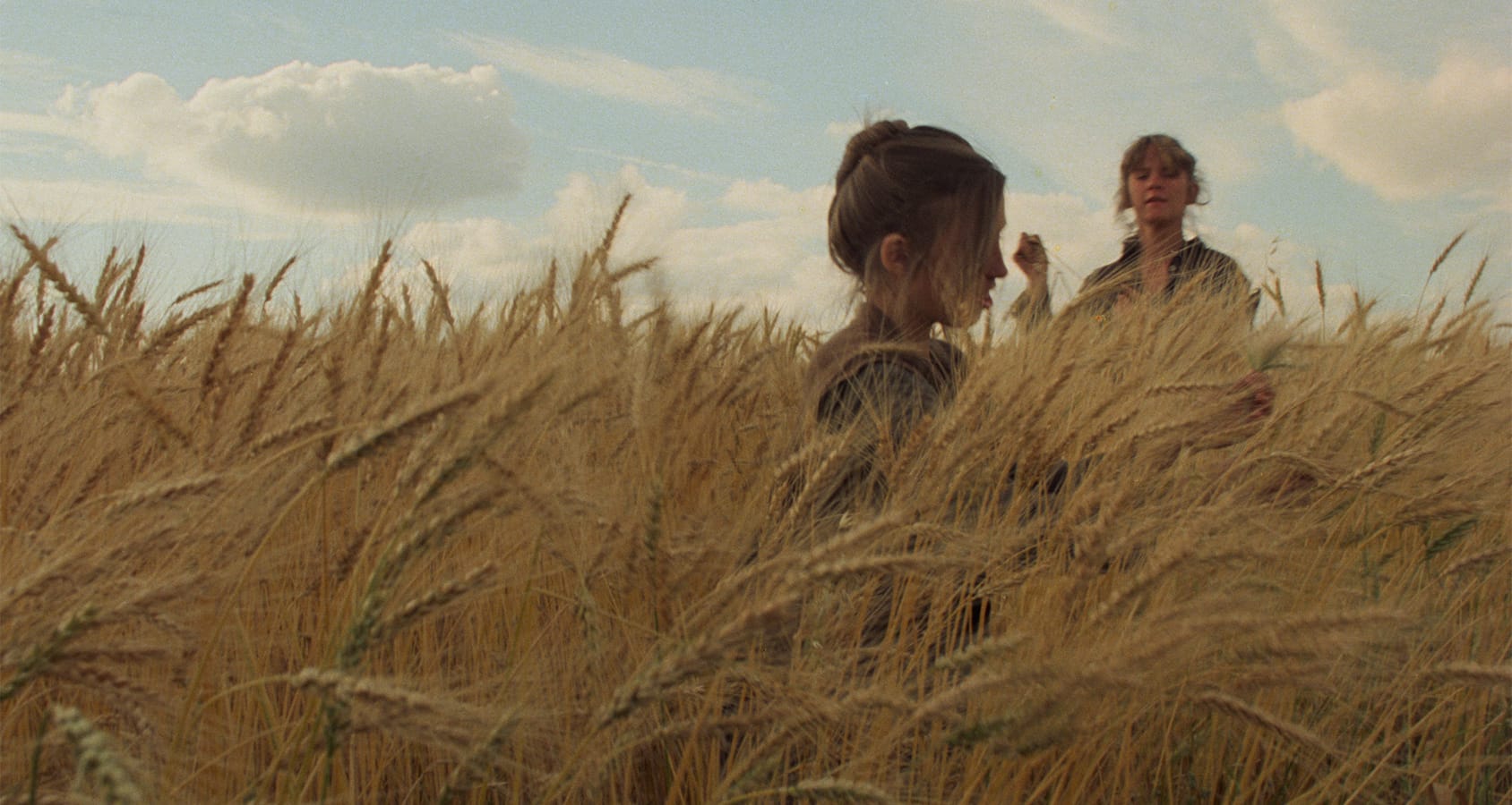 1688x900 Days of Heaven (1978). The Criterion