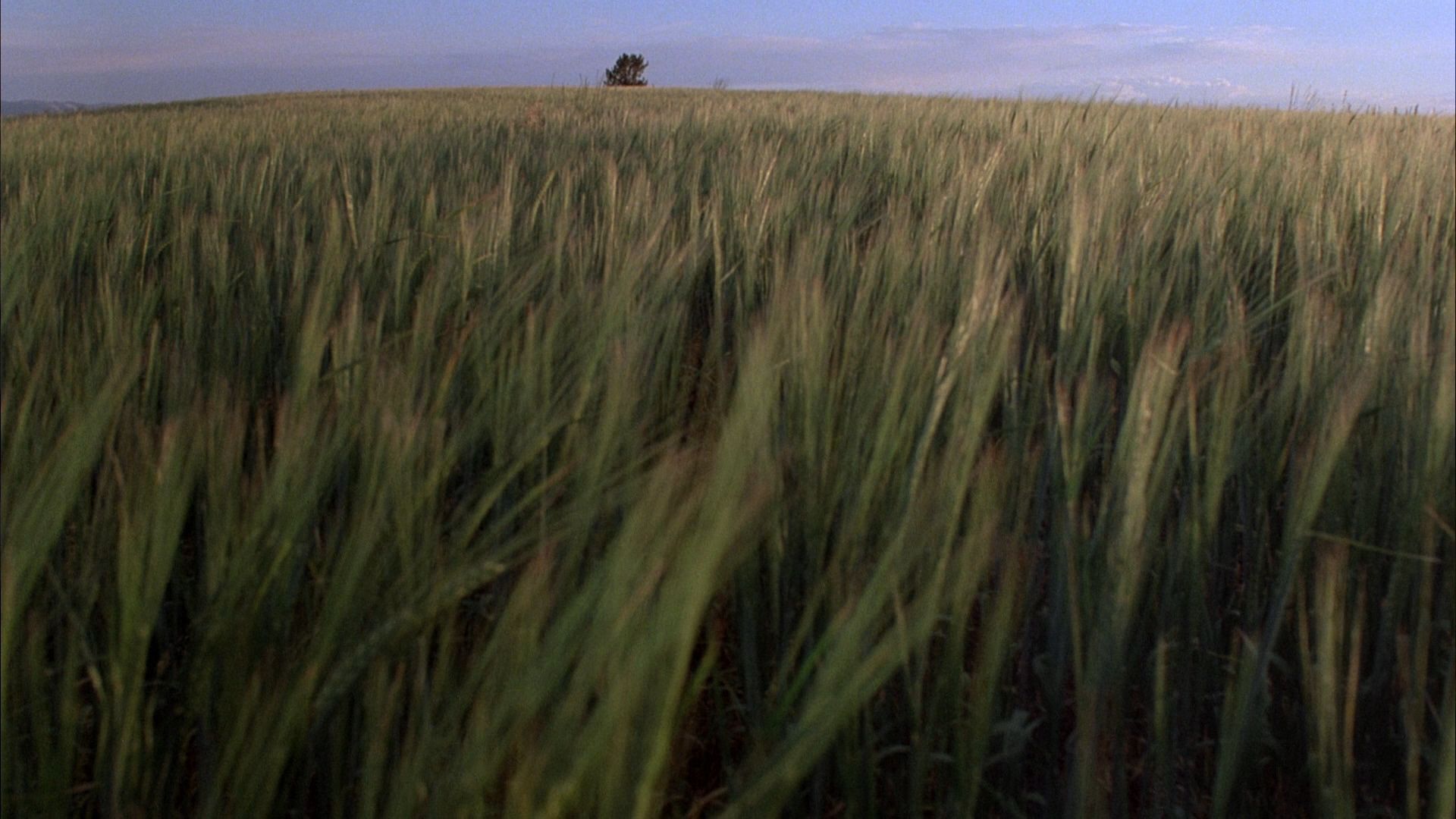 1920x1080 Days of Heaven (1978)
