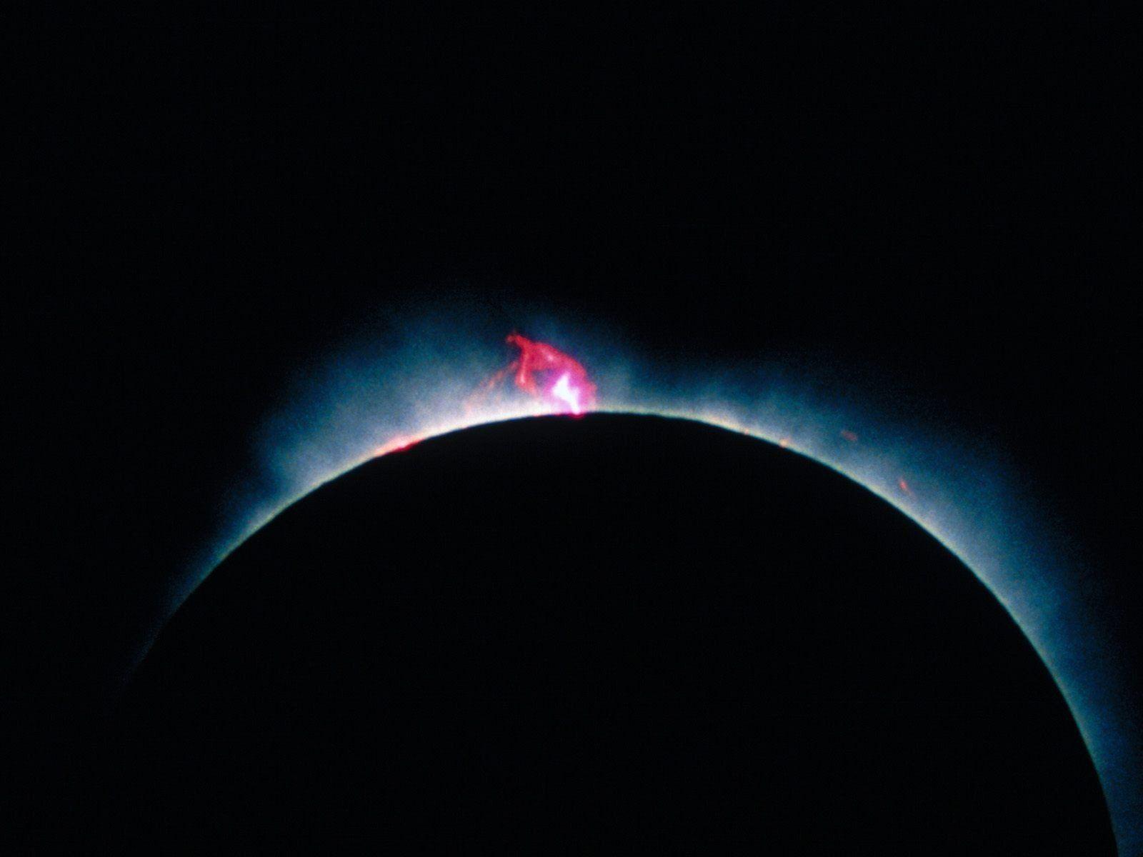 1600x1200 Outer space seahorses solar eclipse wallpaperx1200
