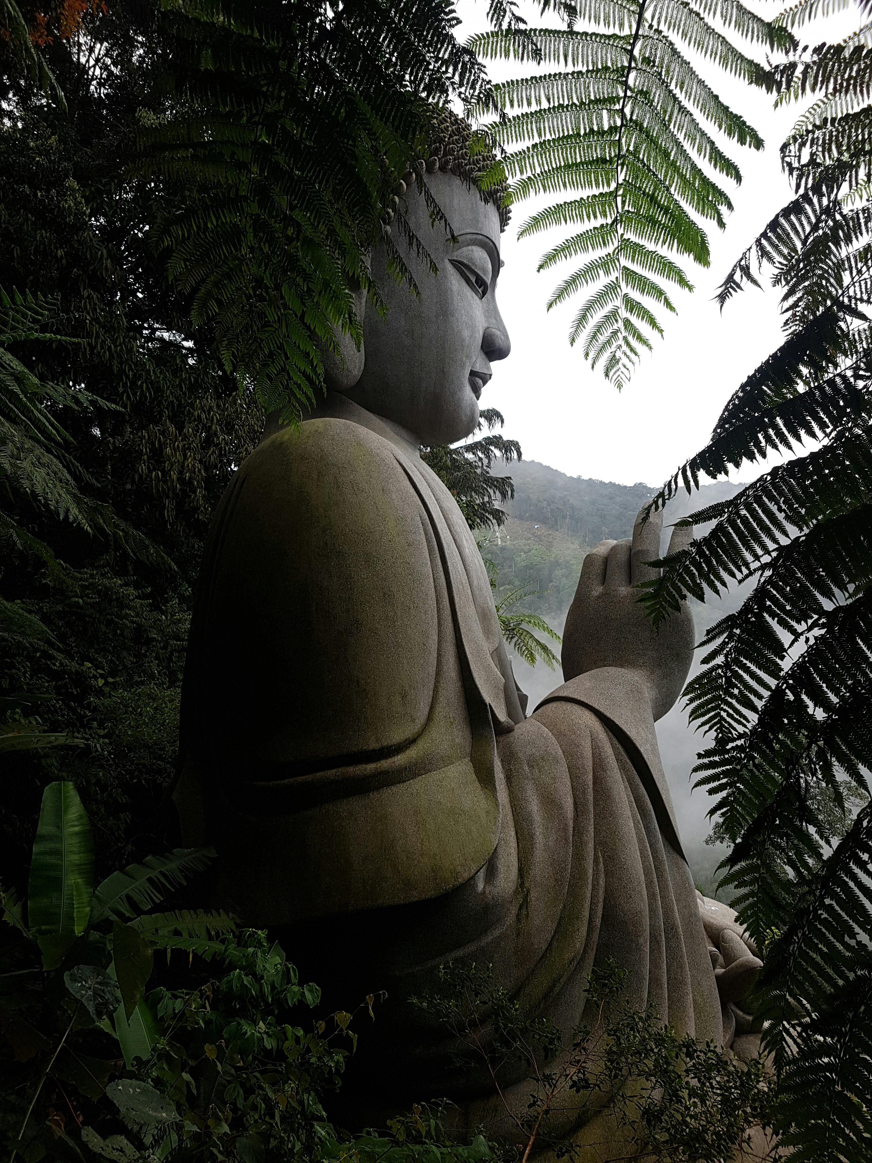 3024x4032 Genting Highland Malaysia Photo