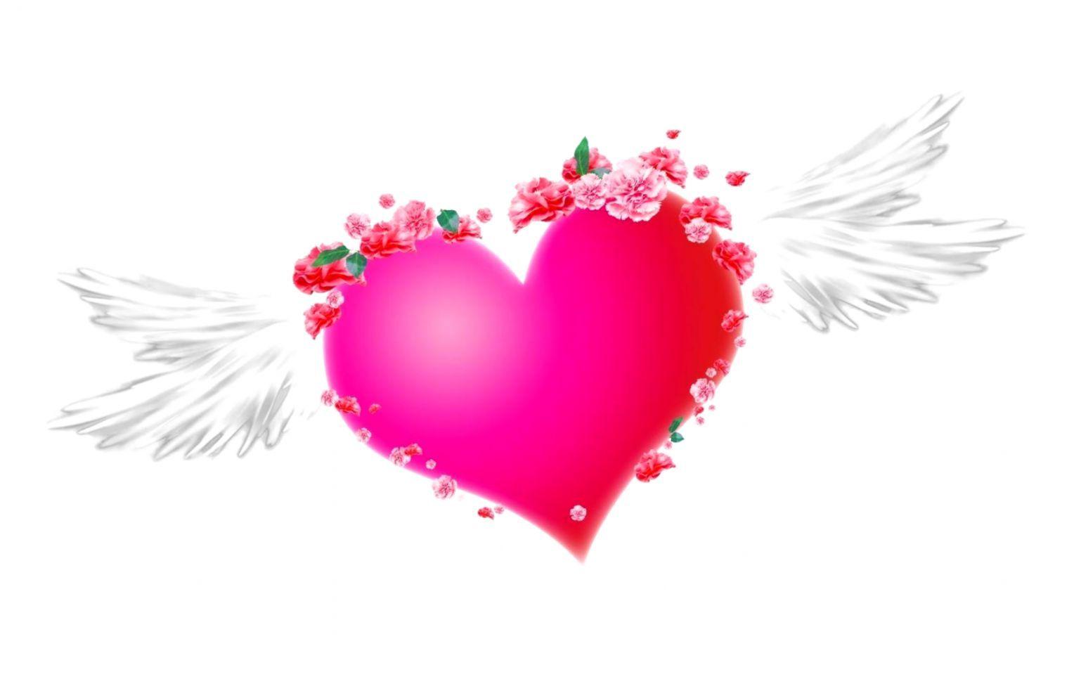 1528x966 Cool Heart Wallpaper, Free Stock Wallpaper