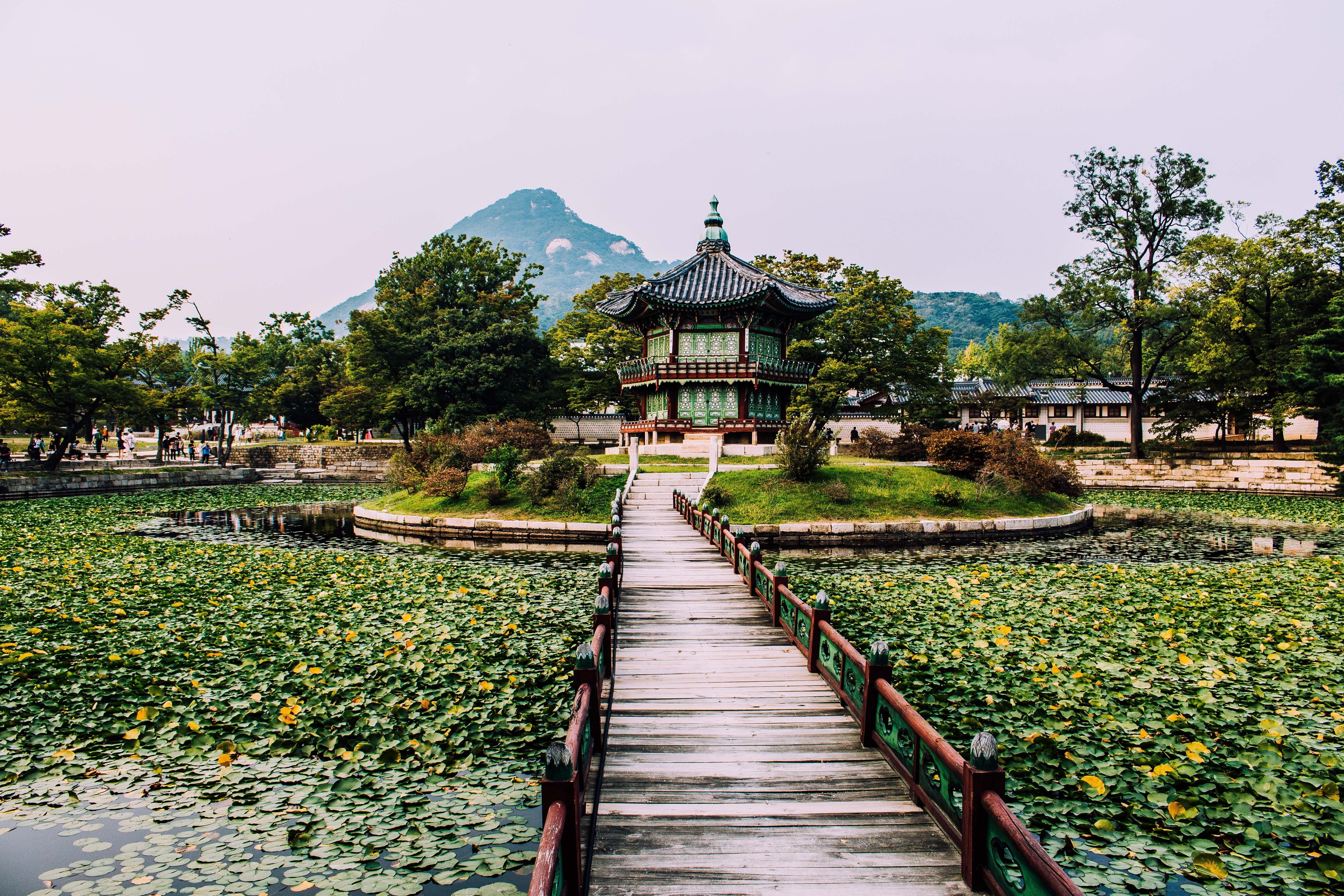 5184x3456 HD wallpaper: seoul, south korea