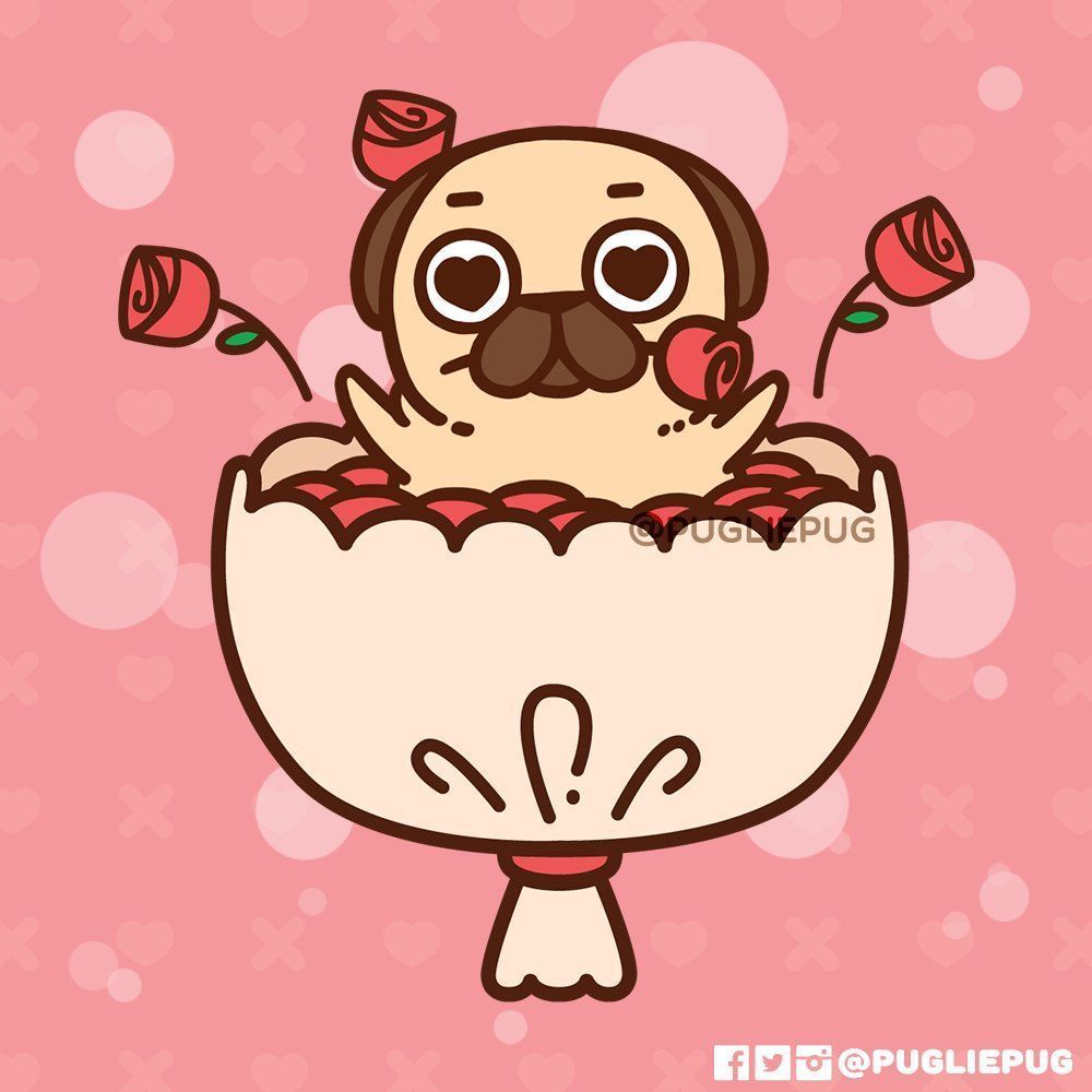 1000x1000 Puglie Pug
