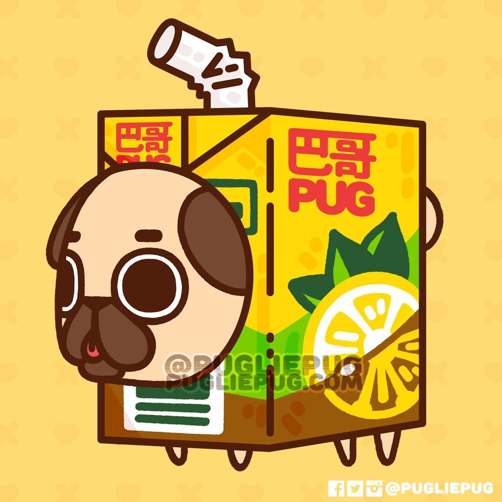 1000x1000 Puglie Pug