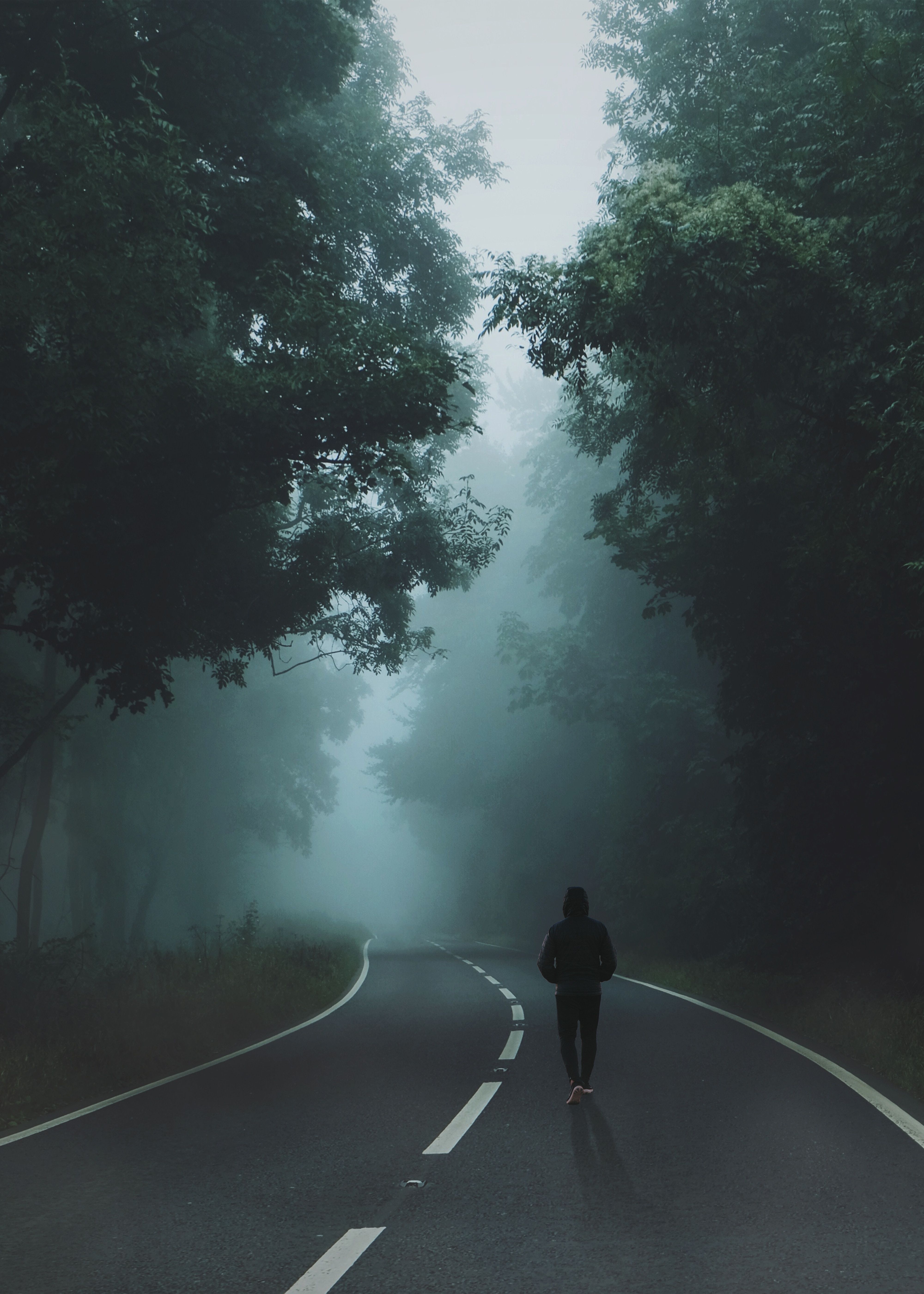 4000x5600 Alone Boy Road Wallpaper