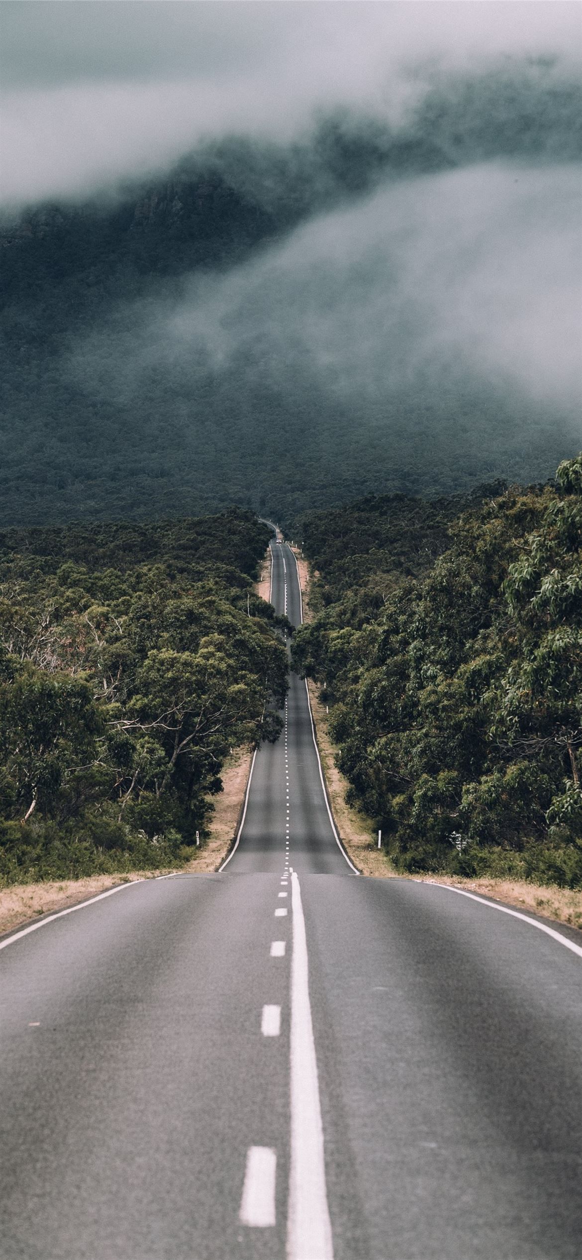 1170x2532 cloudy sky iPhone 12 Wallpaper Free