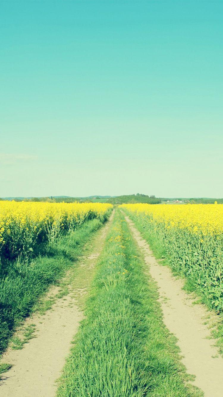 Field iPhone Wallpapers - Top Free Field iPhone Backgrounds