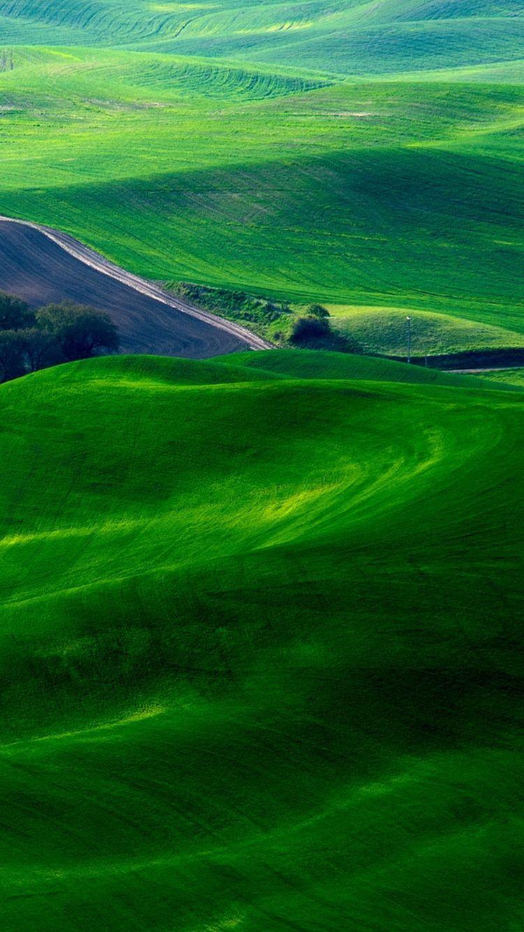 750x1334 Dreamy Green Fields Countryside iPhone 6 Wallpaper HD