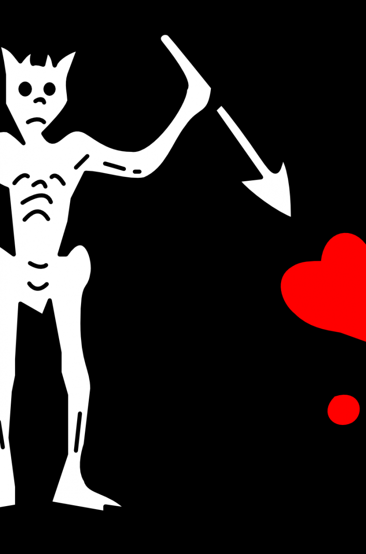 750x1134 The flag of Blackbeard (Pirate) HD Wallpaper