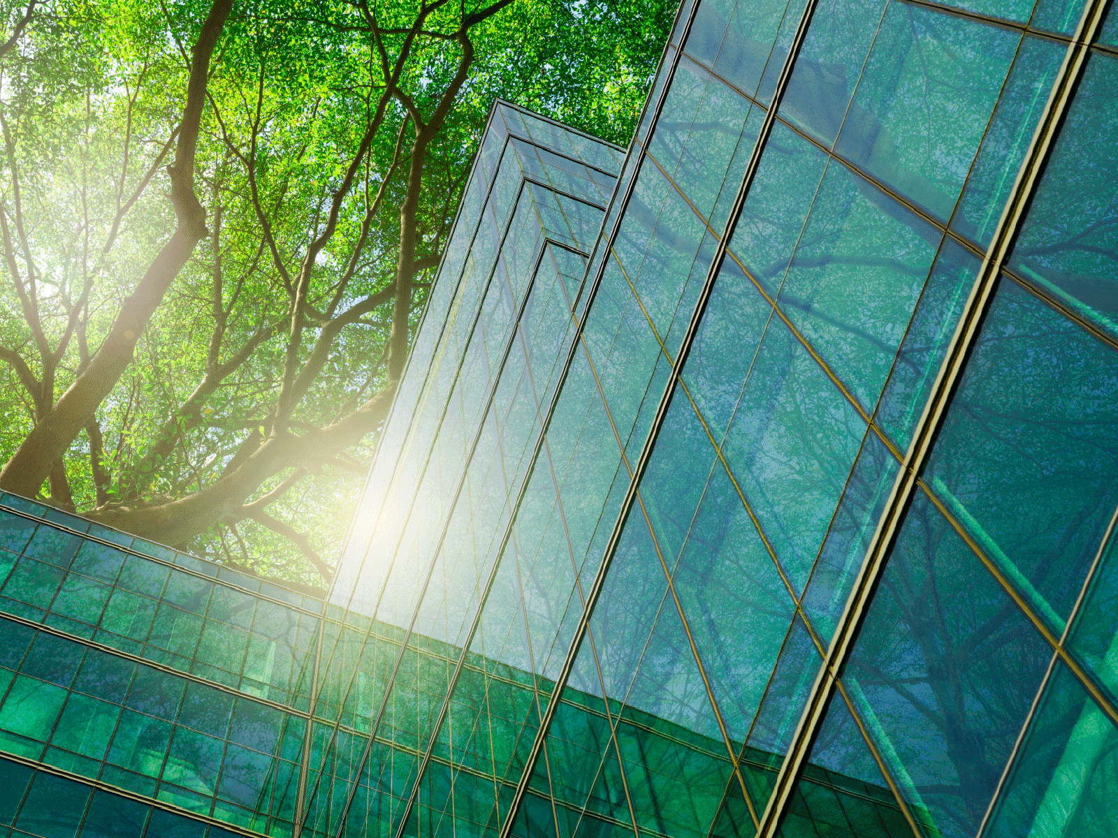Green Future Wallpapers Top Free Green Future Backgrounds Green Future Wallpapers Top Free Green Future Backgrounds